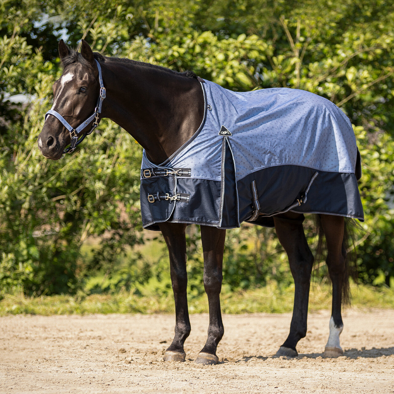 Turnout rug collection fleece lining