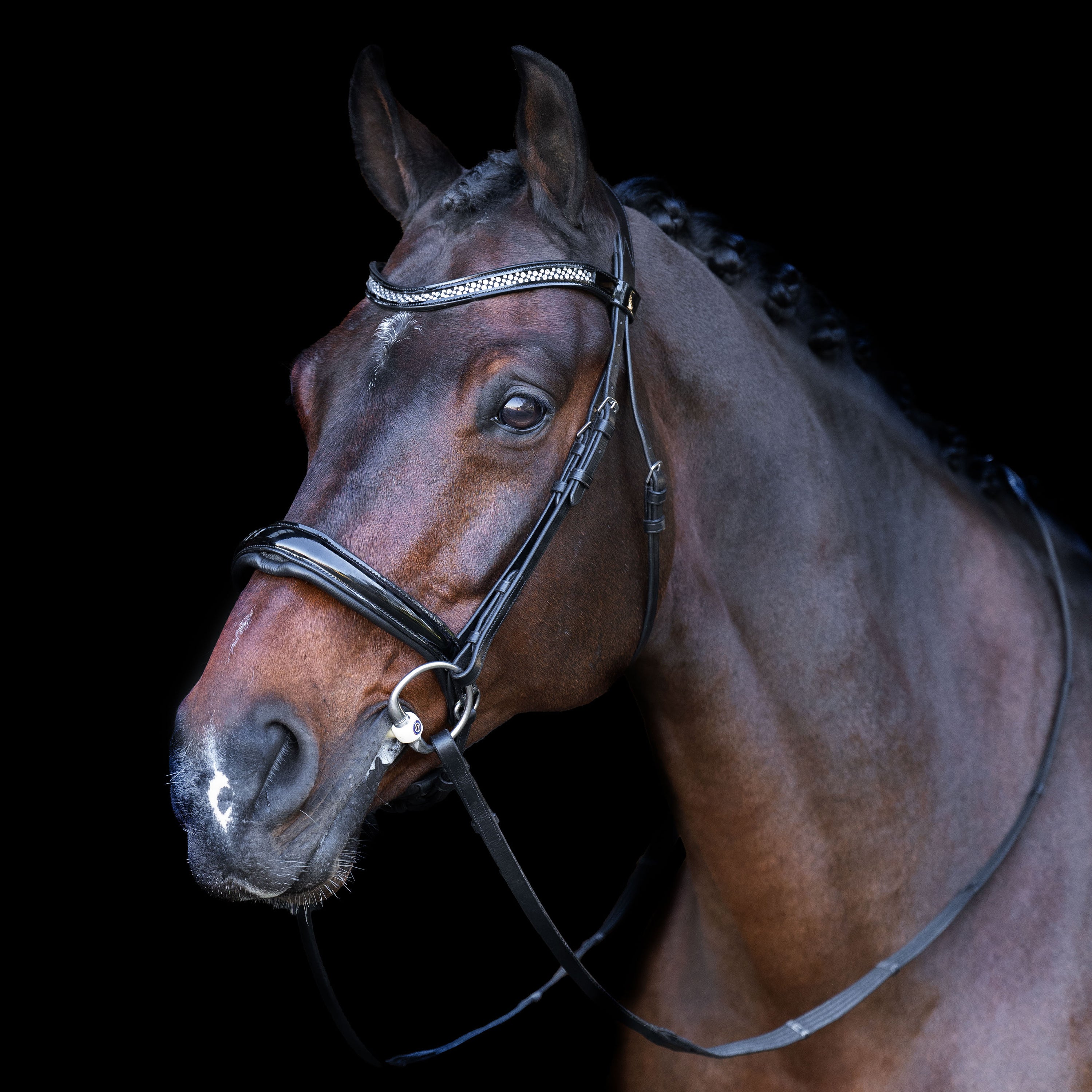 Snaffle bridle with English noseband IRH