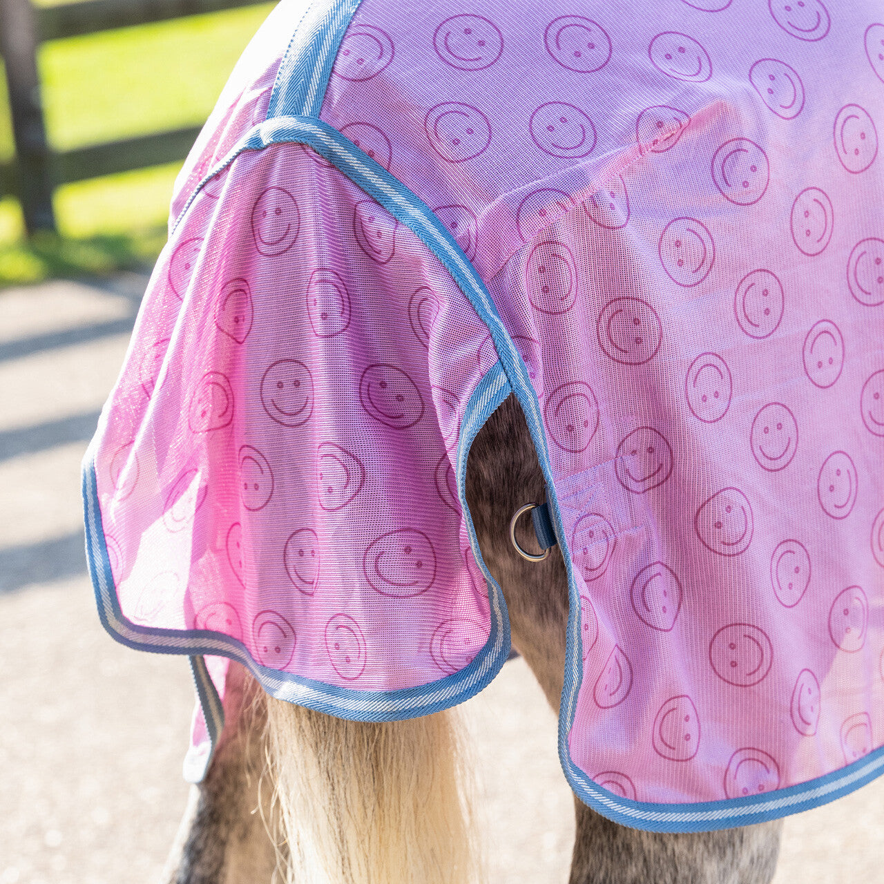 Fly sheet Rosalynn