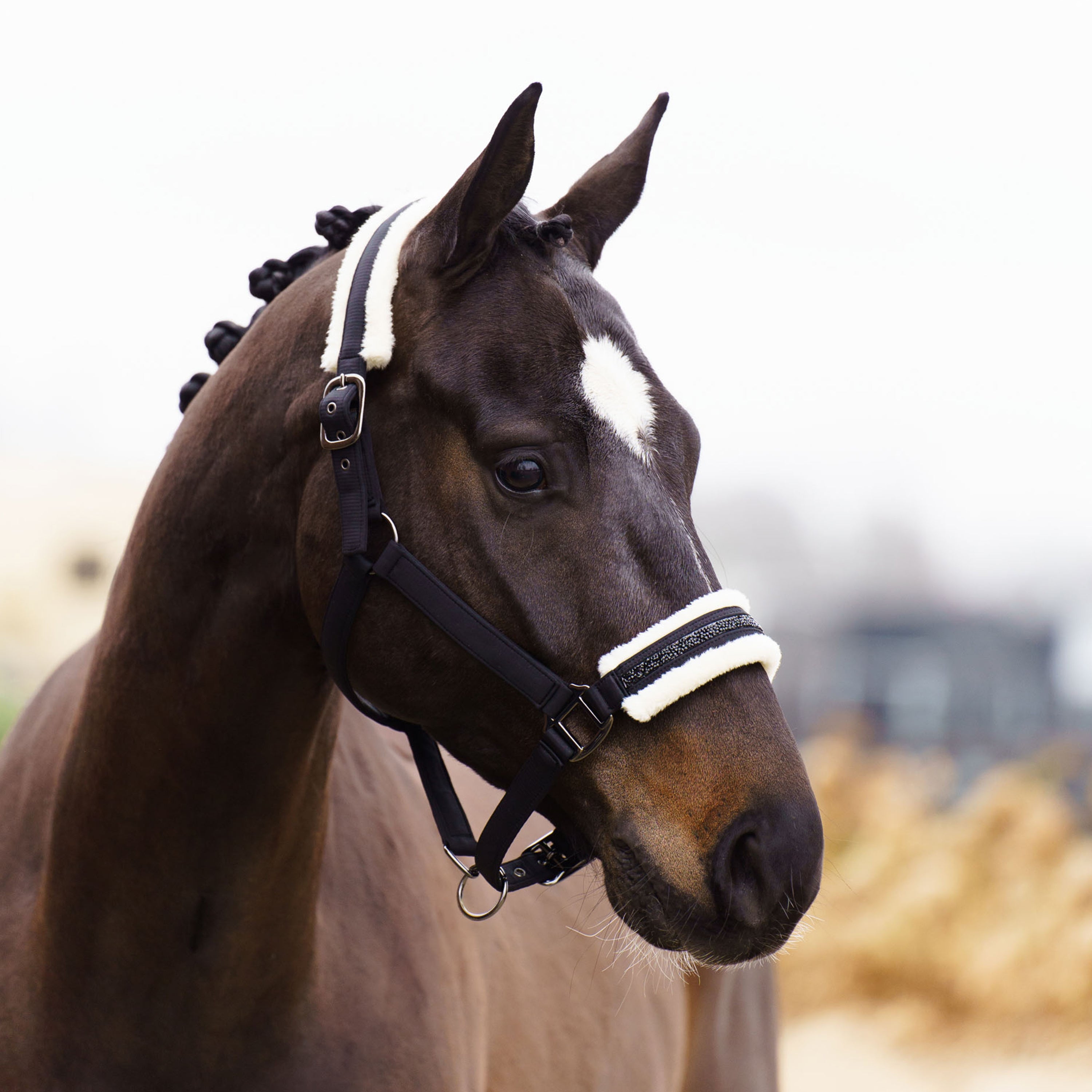 Headcollar IRHJewel