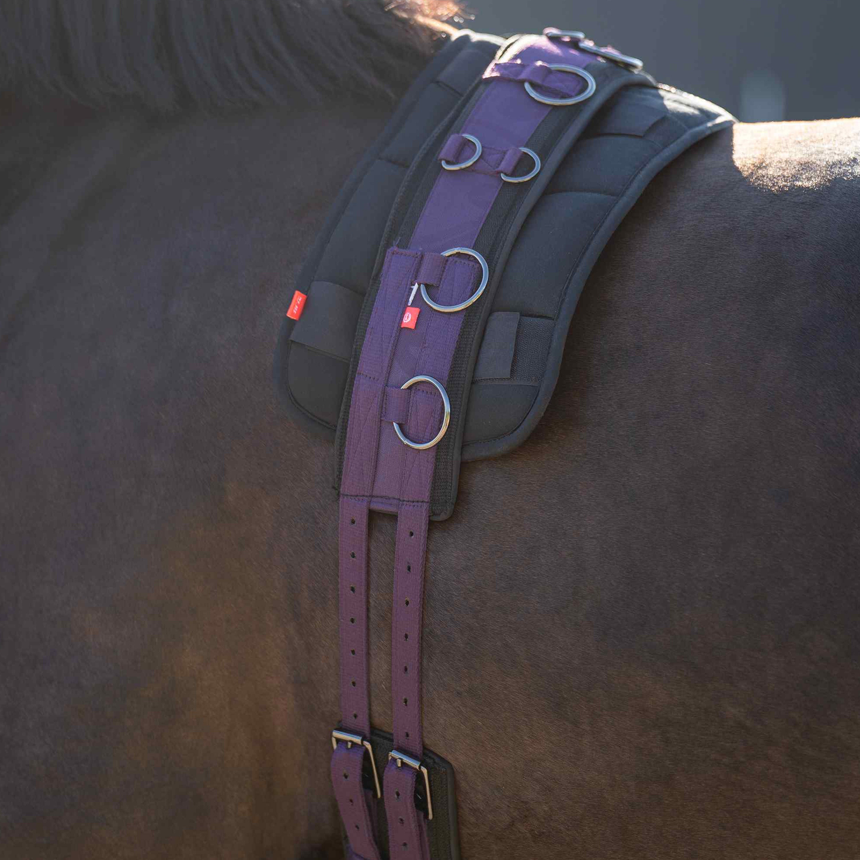 Lunging girth IRHDeluxe Extra
