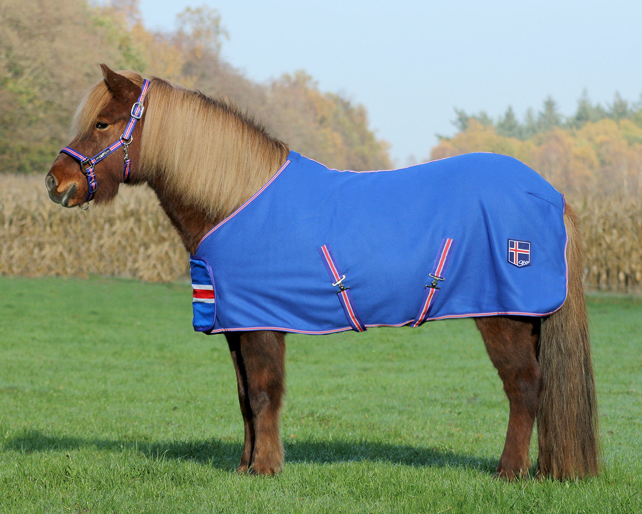 fleece rug icelandic