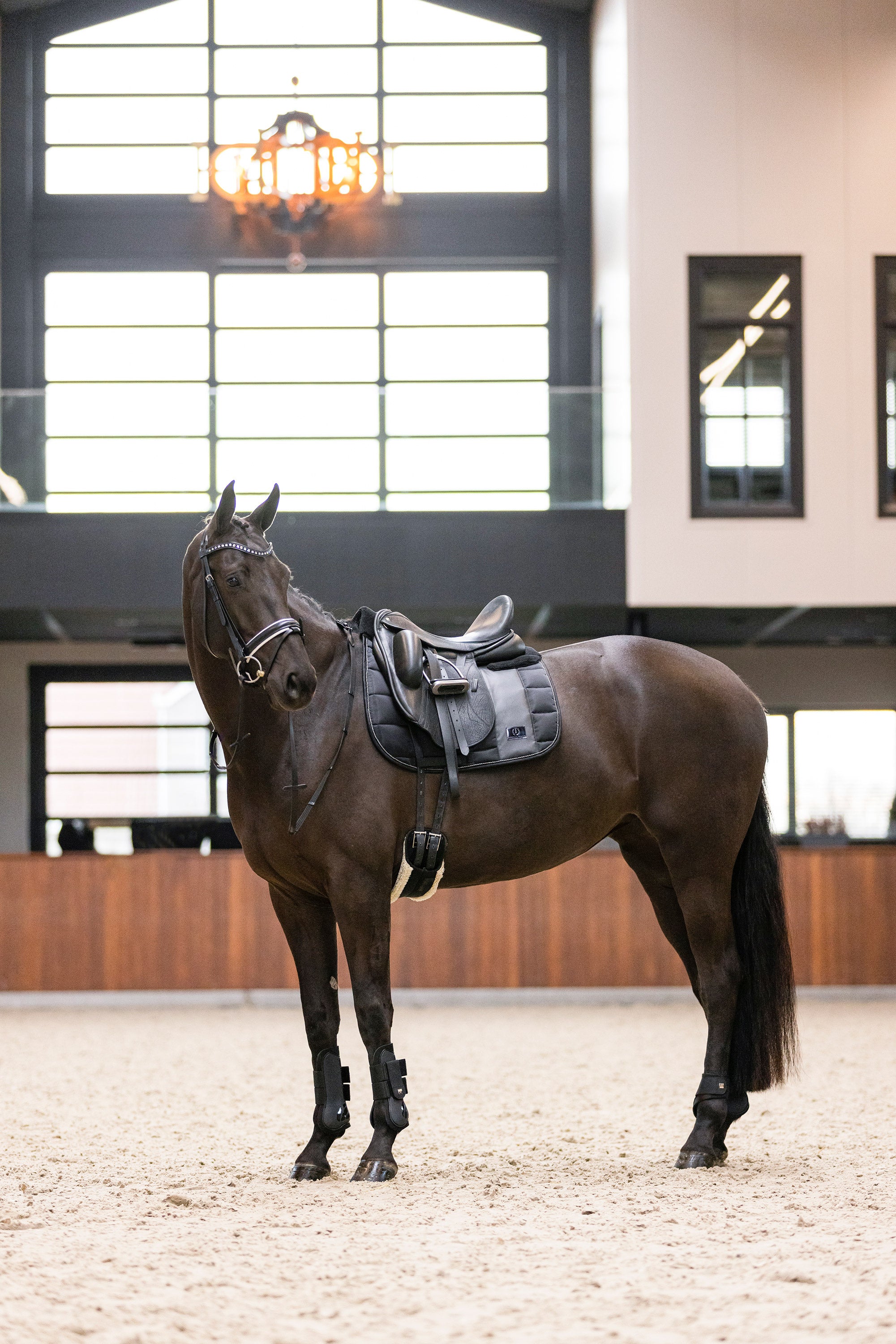 Fetlock boots IRHLovely