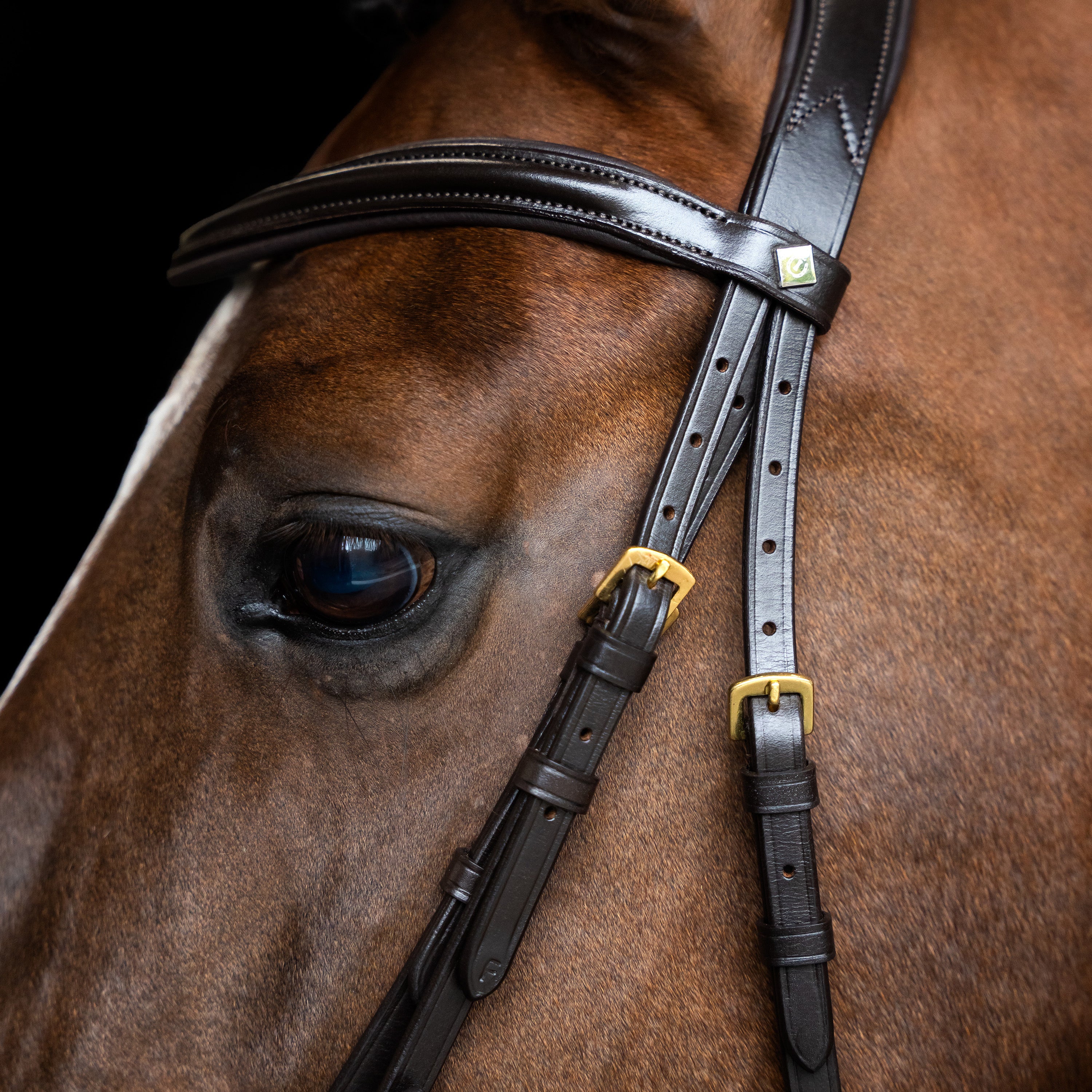 Bridle English IRH combined sleek