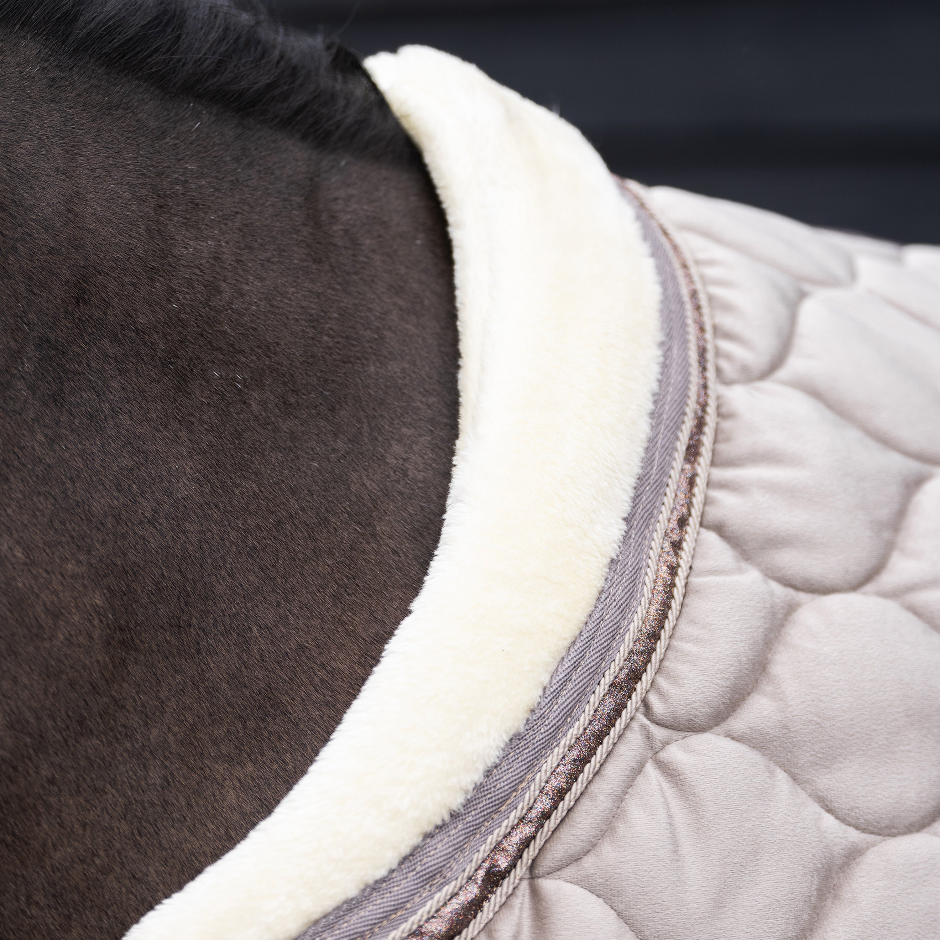 Show blanket IRHBandit