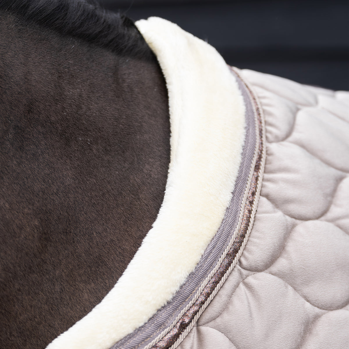 Show blanket IRHBandit