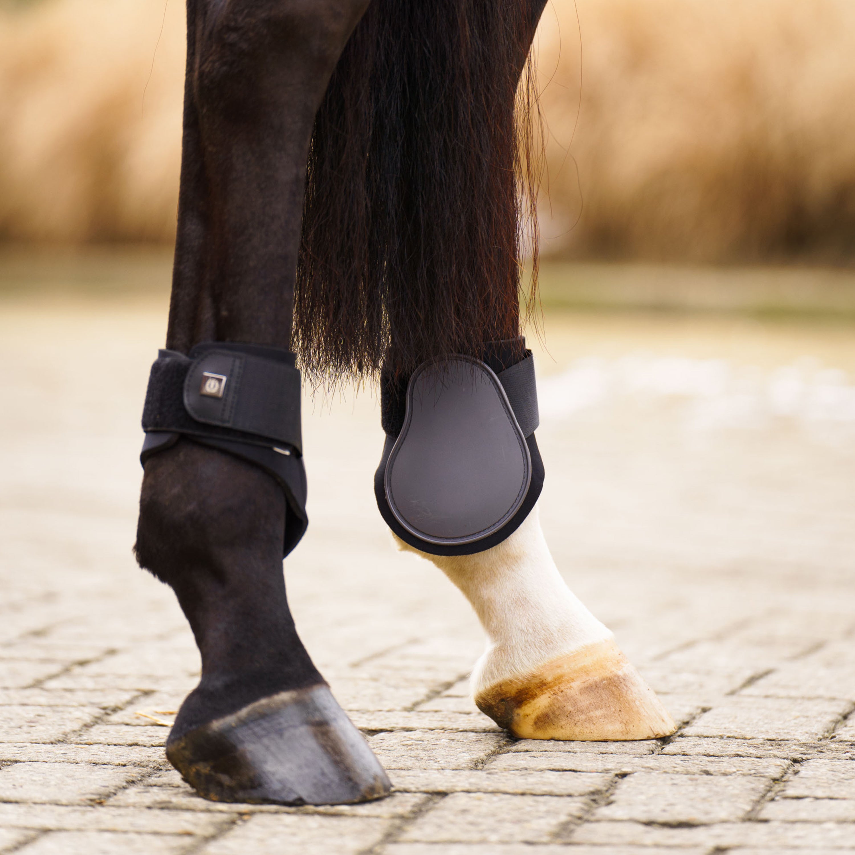 Fetlock boots IRHLovely