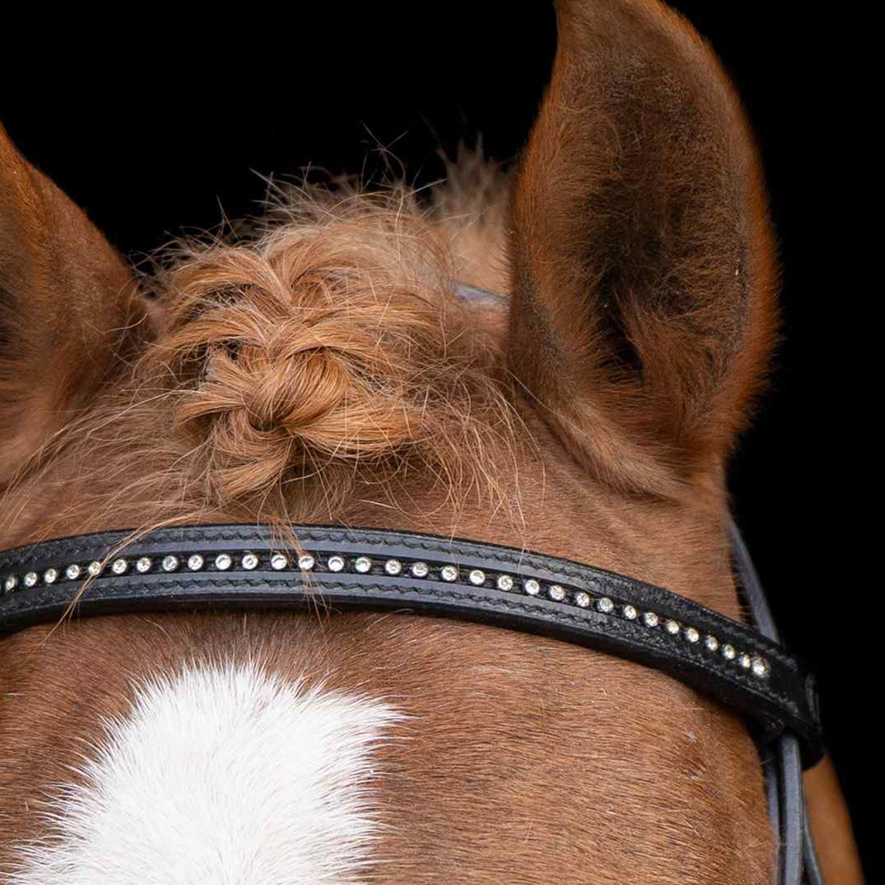 SHETTY Bridle IRHStormy