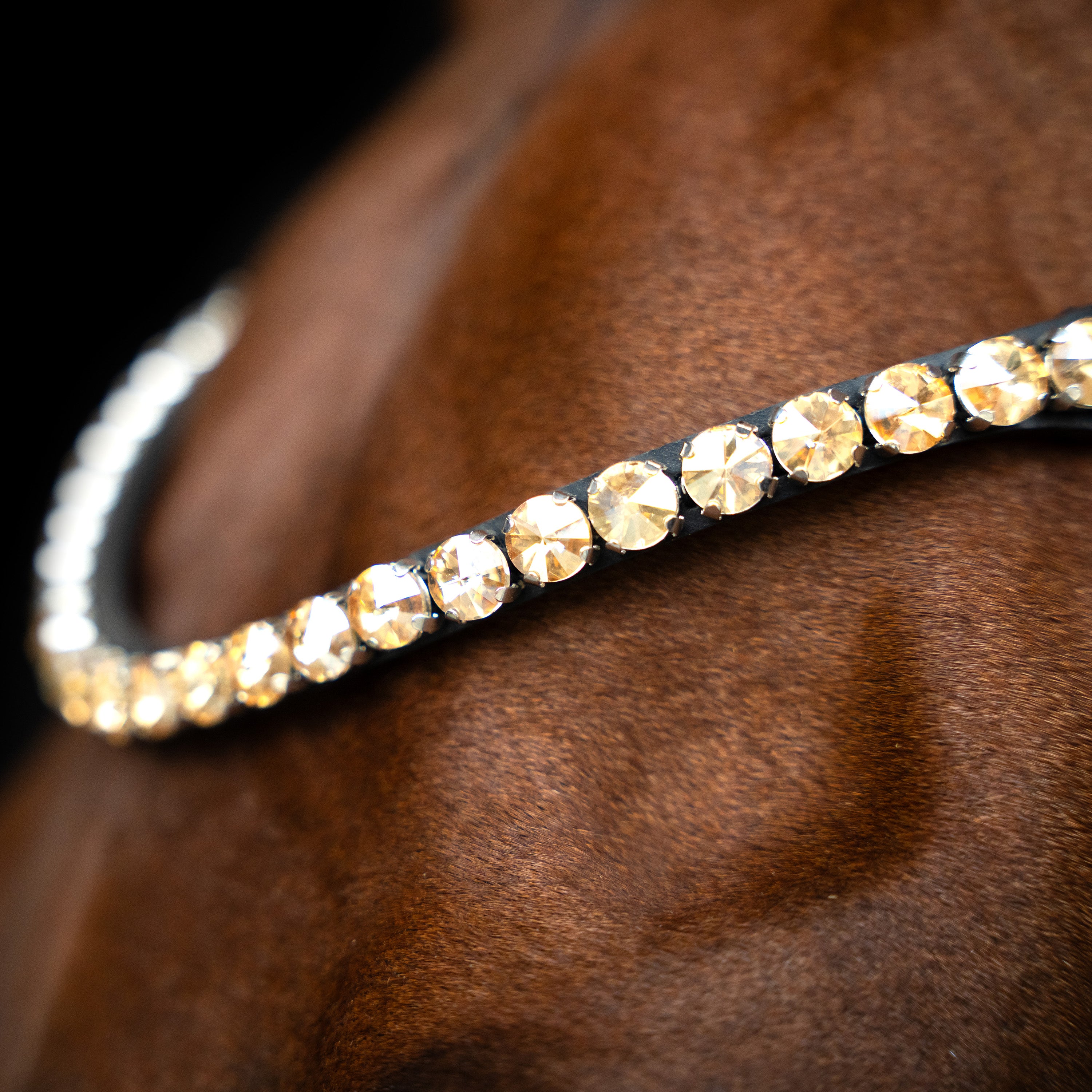 Browband IRHGrande