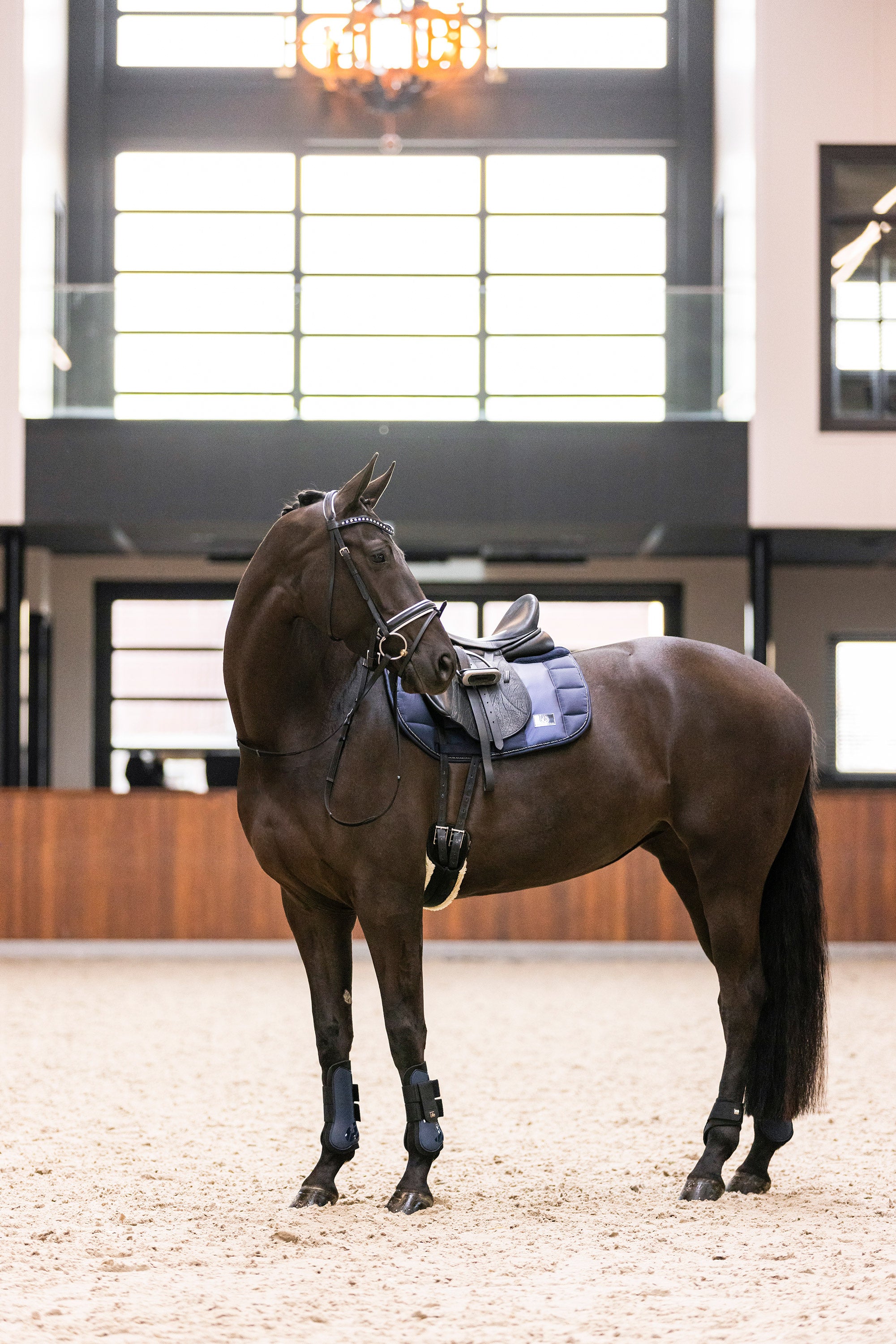 Fetlock boots IRHLovely