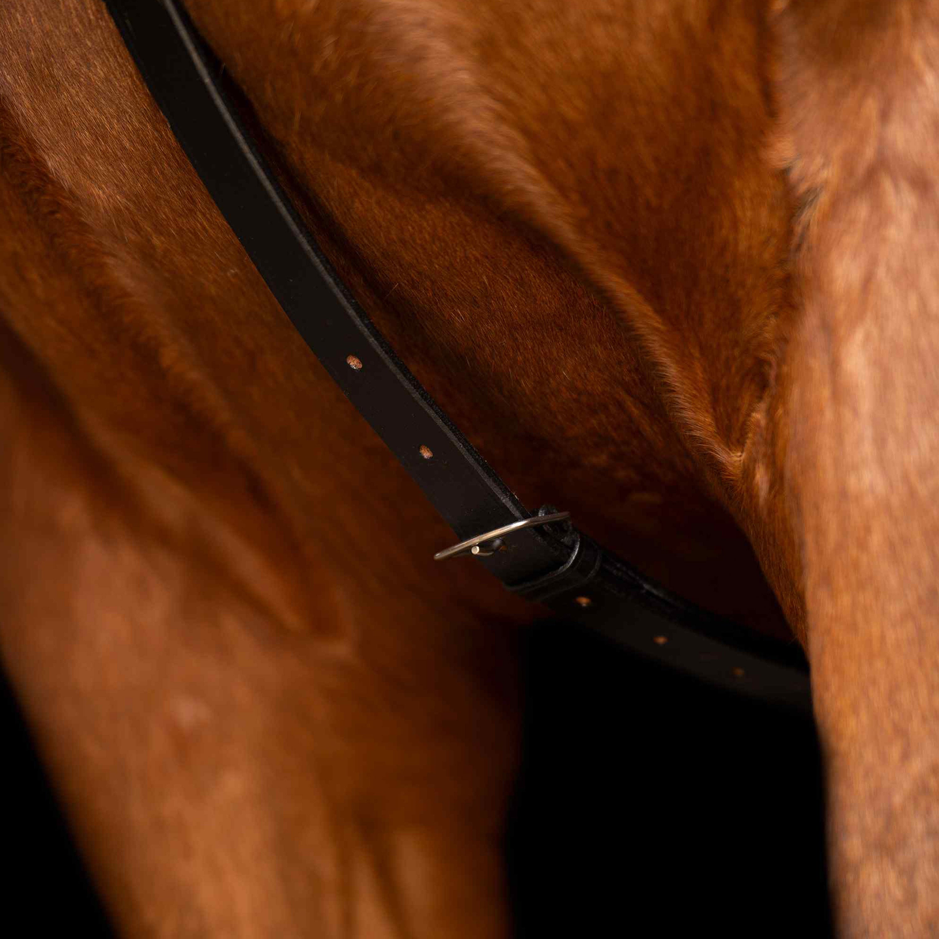 Martingale IRHCore