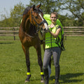 Reflective vest