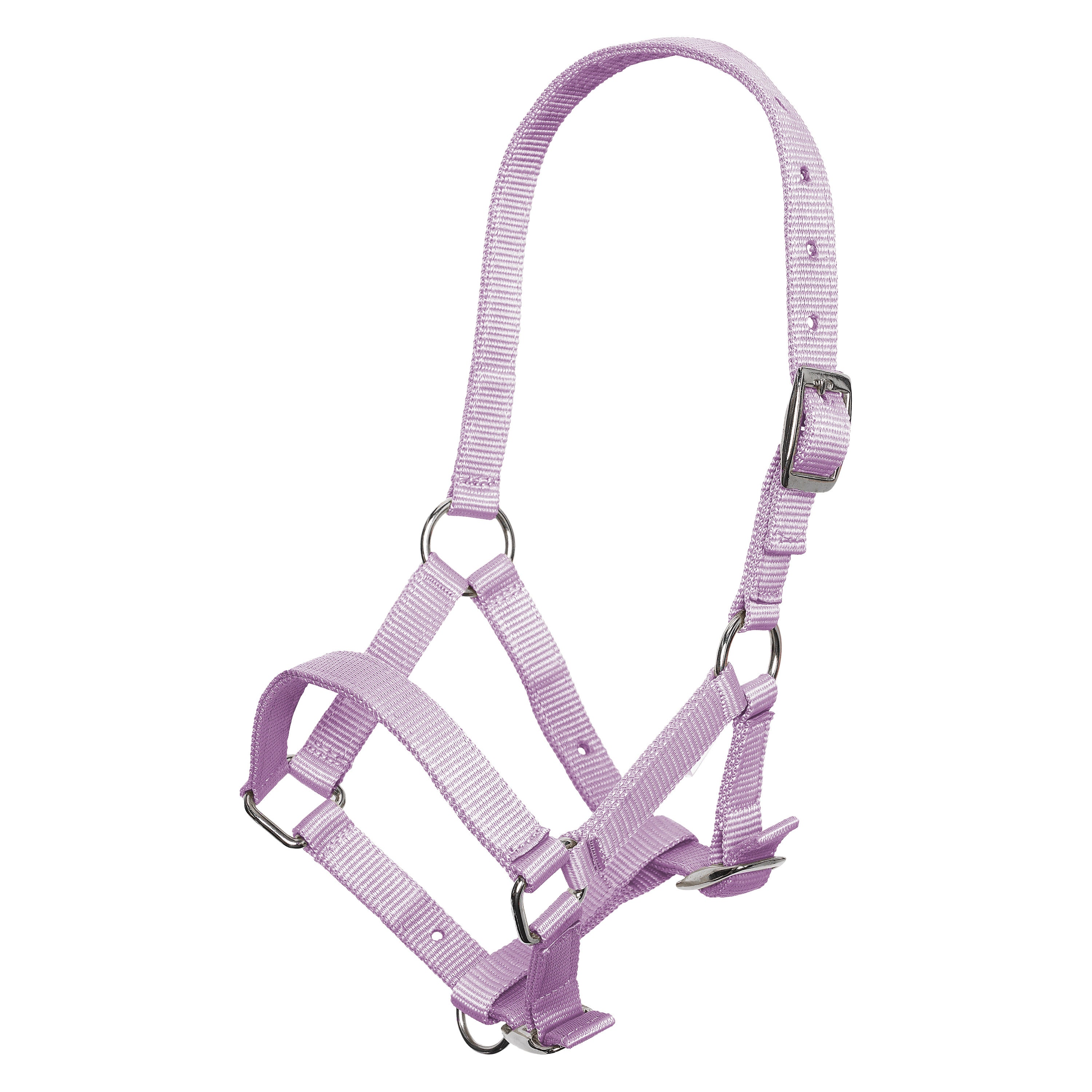 Headcollar foal IRH