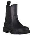 Stable boot Fresno