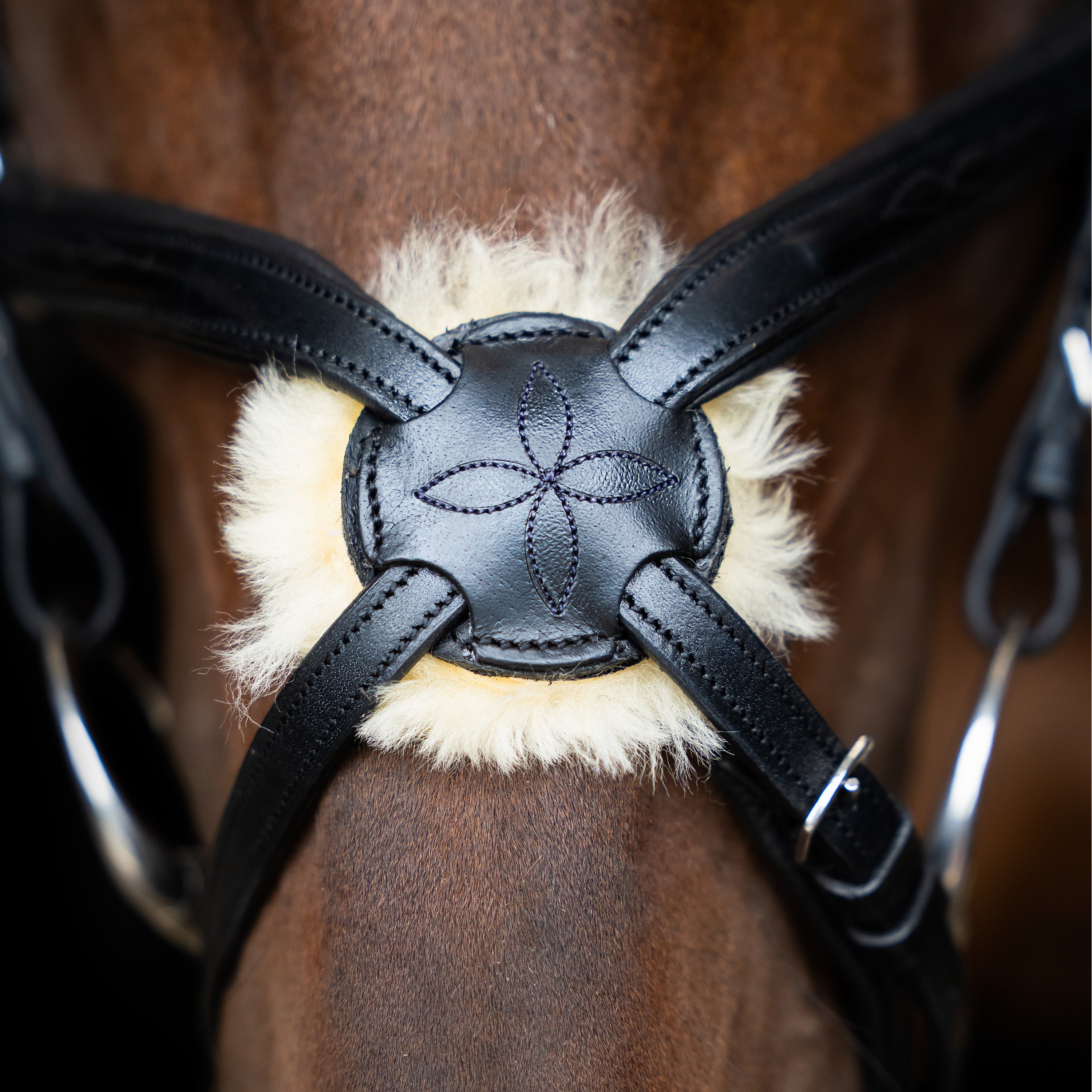 Bridle Mexican IRH