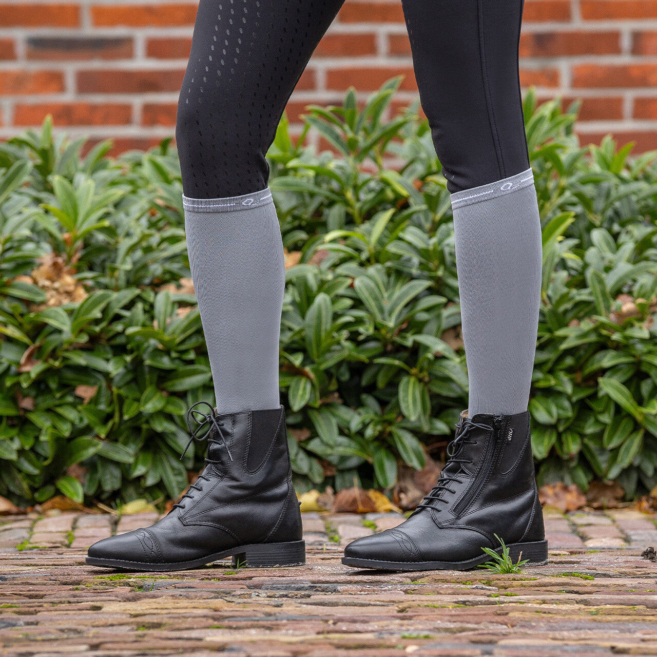 Show socks (3-pack)