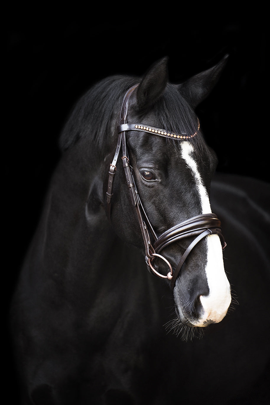 Bridle IRHFria