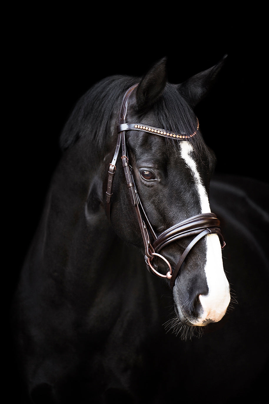 Bridle IRHFria