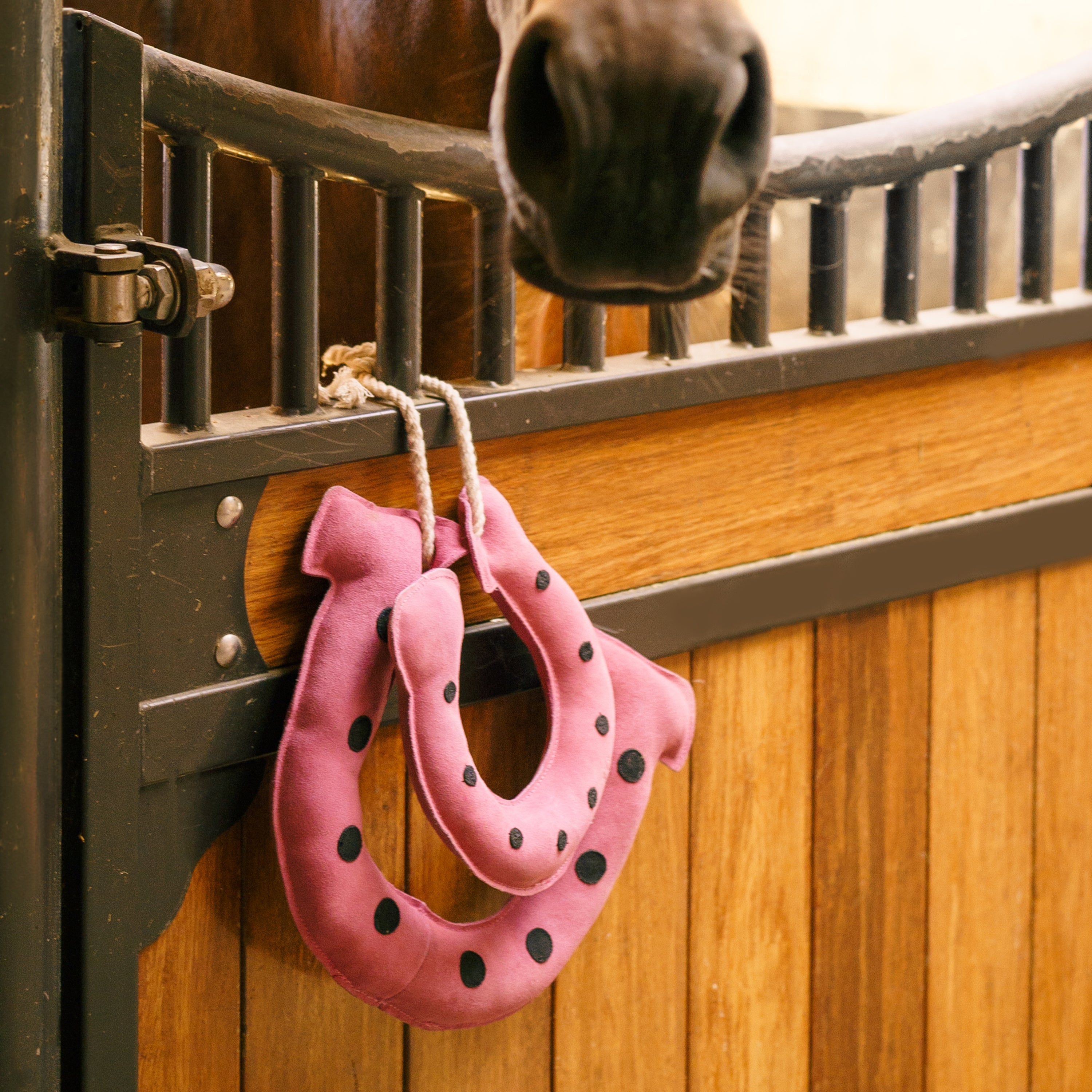 IRHStable buddy Horseshoes