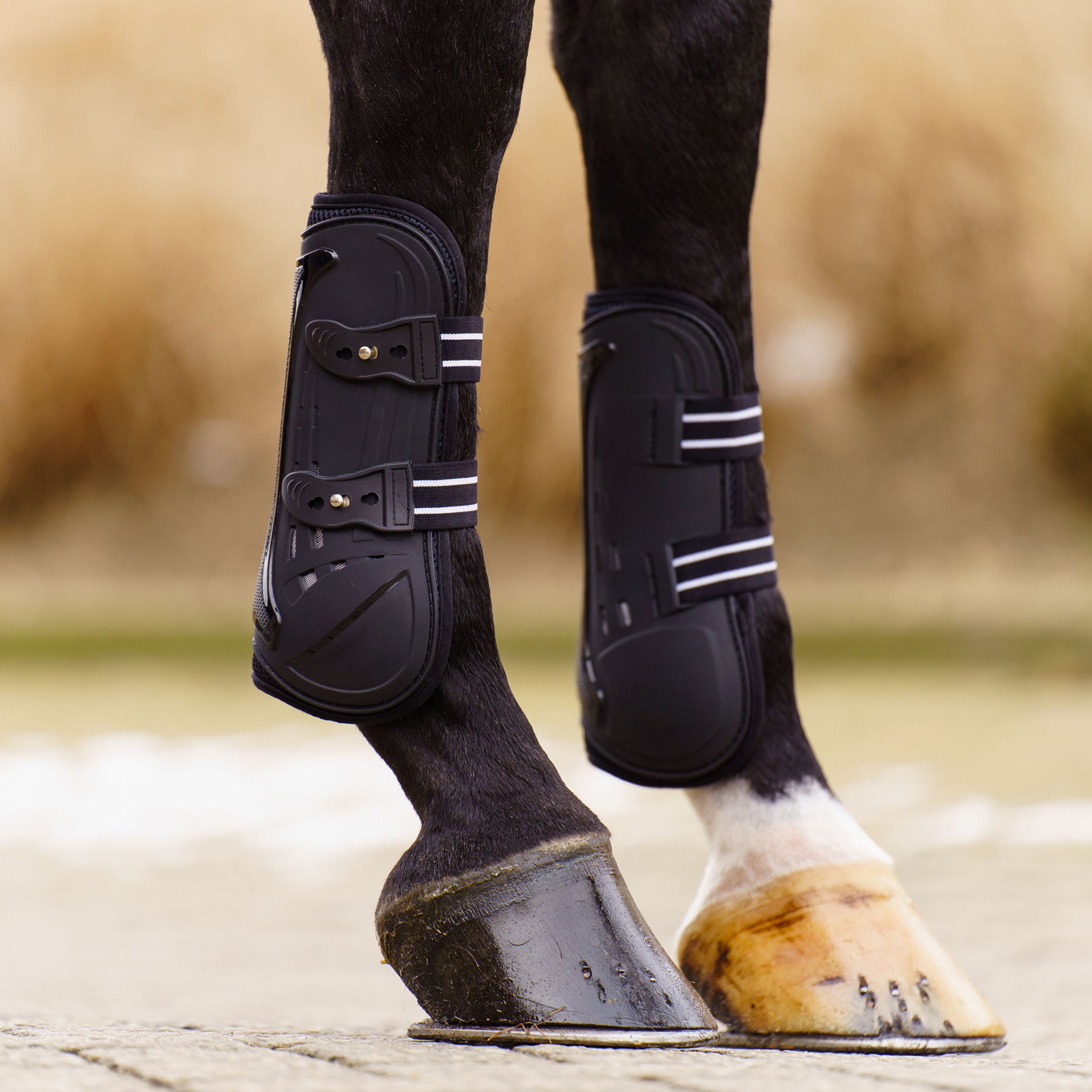 Tendon boots Pro mesh IRH