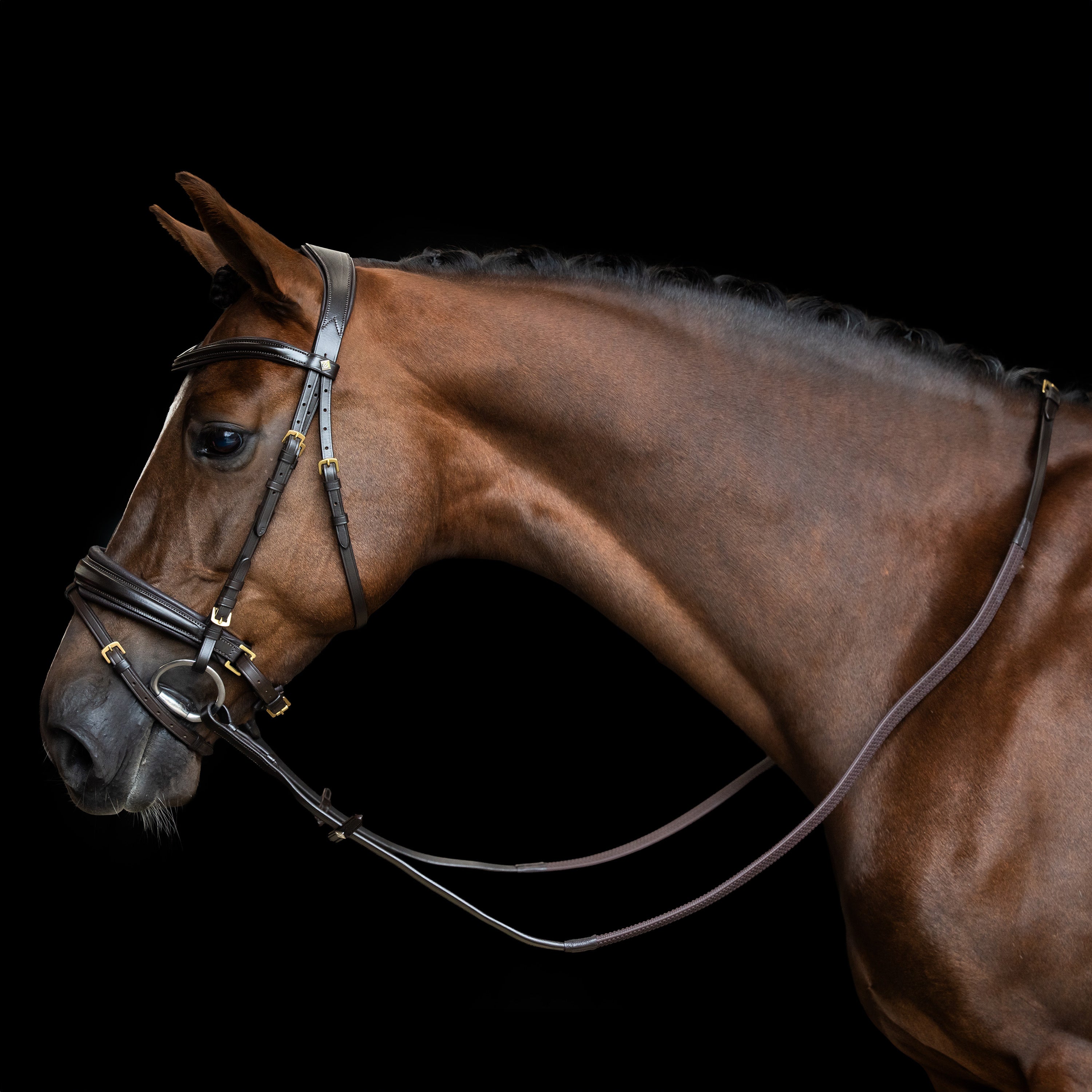 Reins IRH rubber with nylon insert