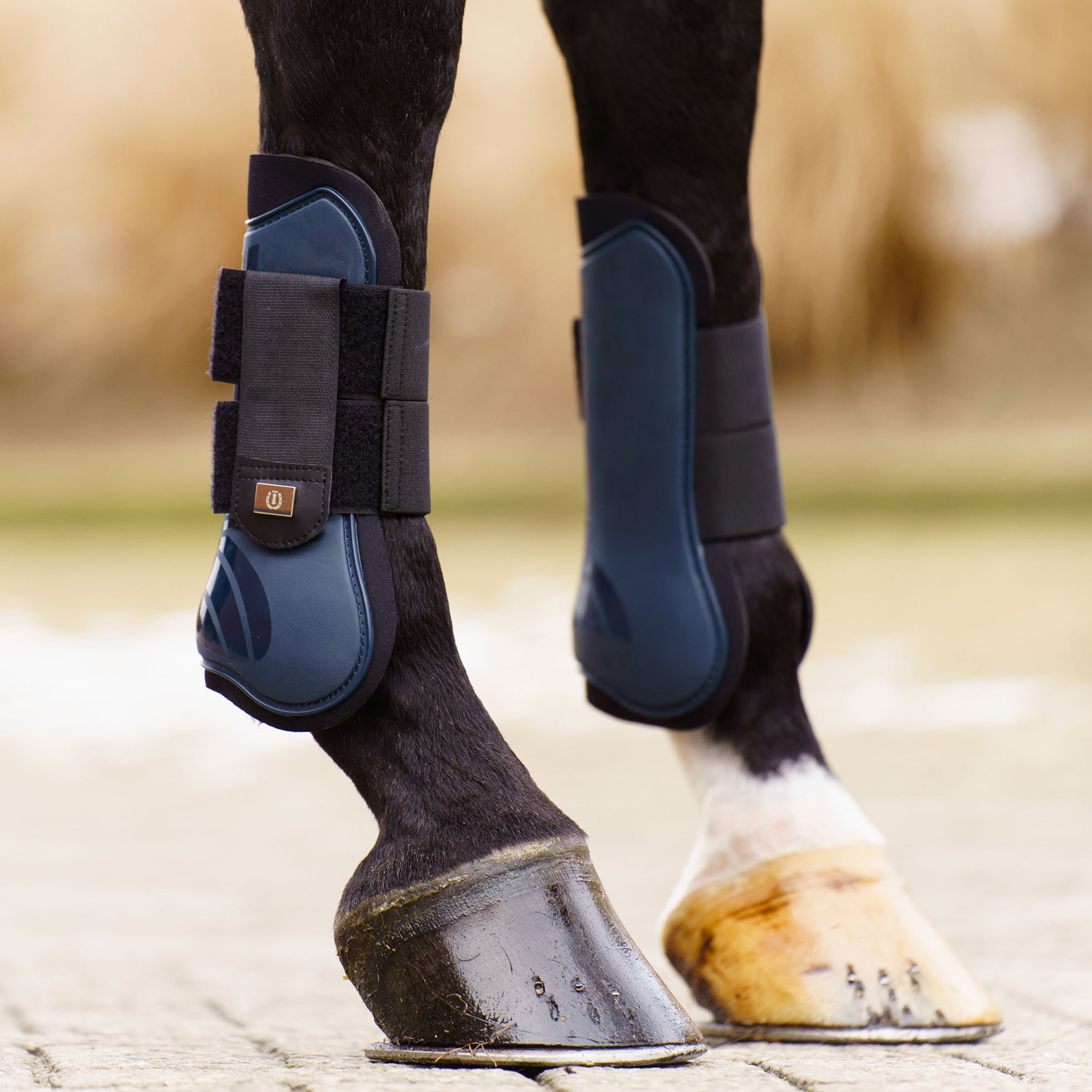 Tendon boots IRHLovely
