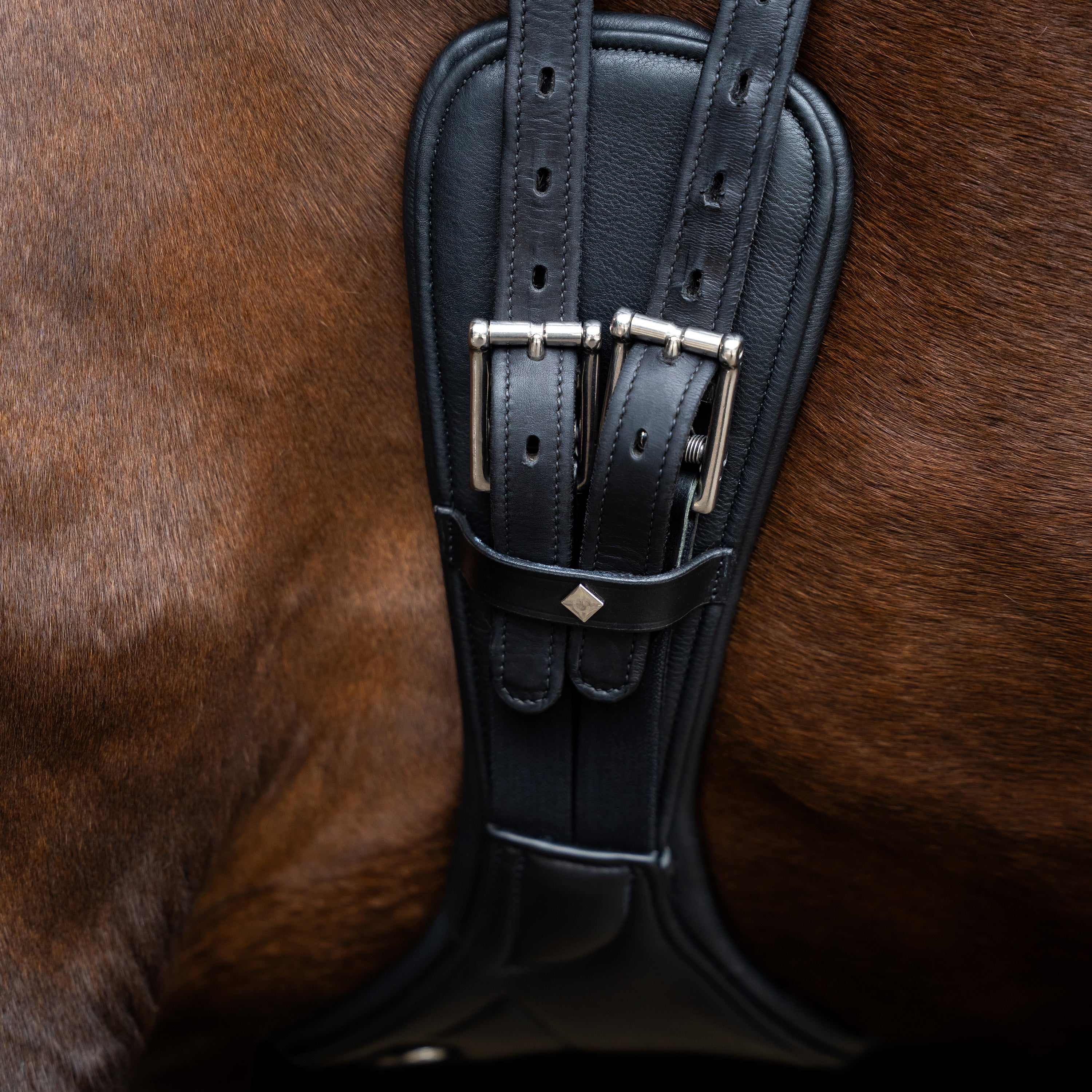 Dressage girth IRH anatomic with spring buckles