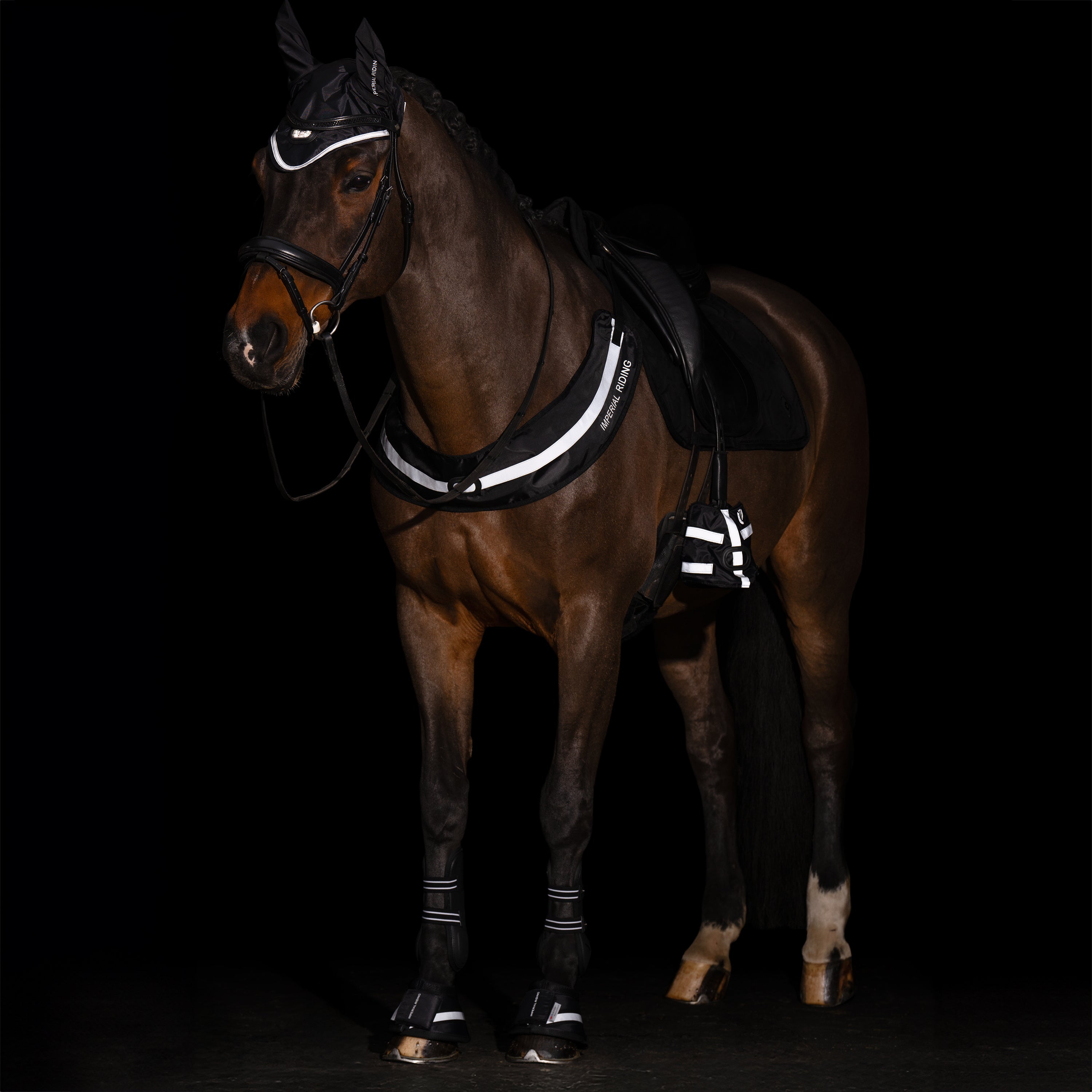 Breast Plate IRHLuminous