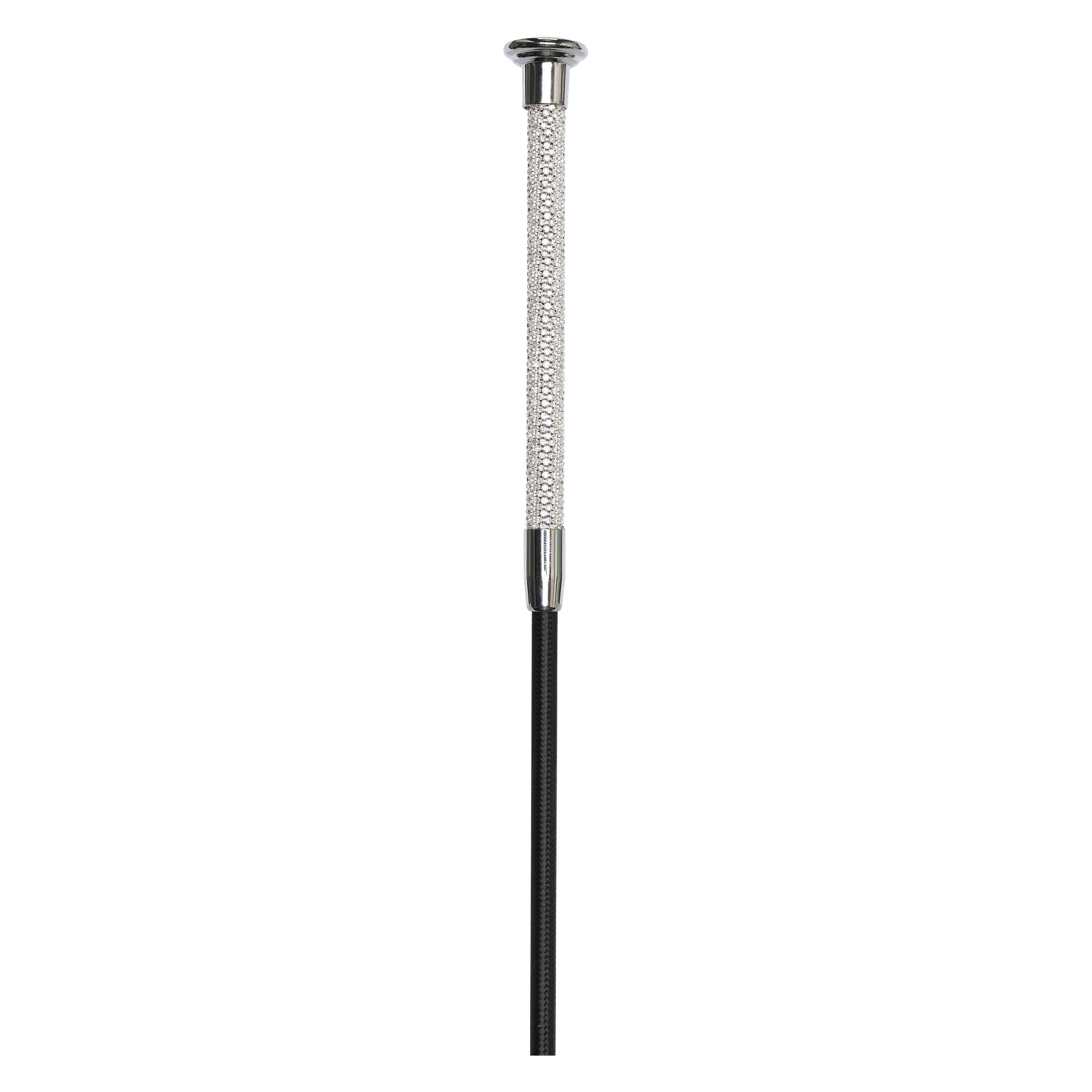 Dressage whip IRHStones