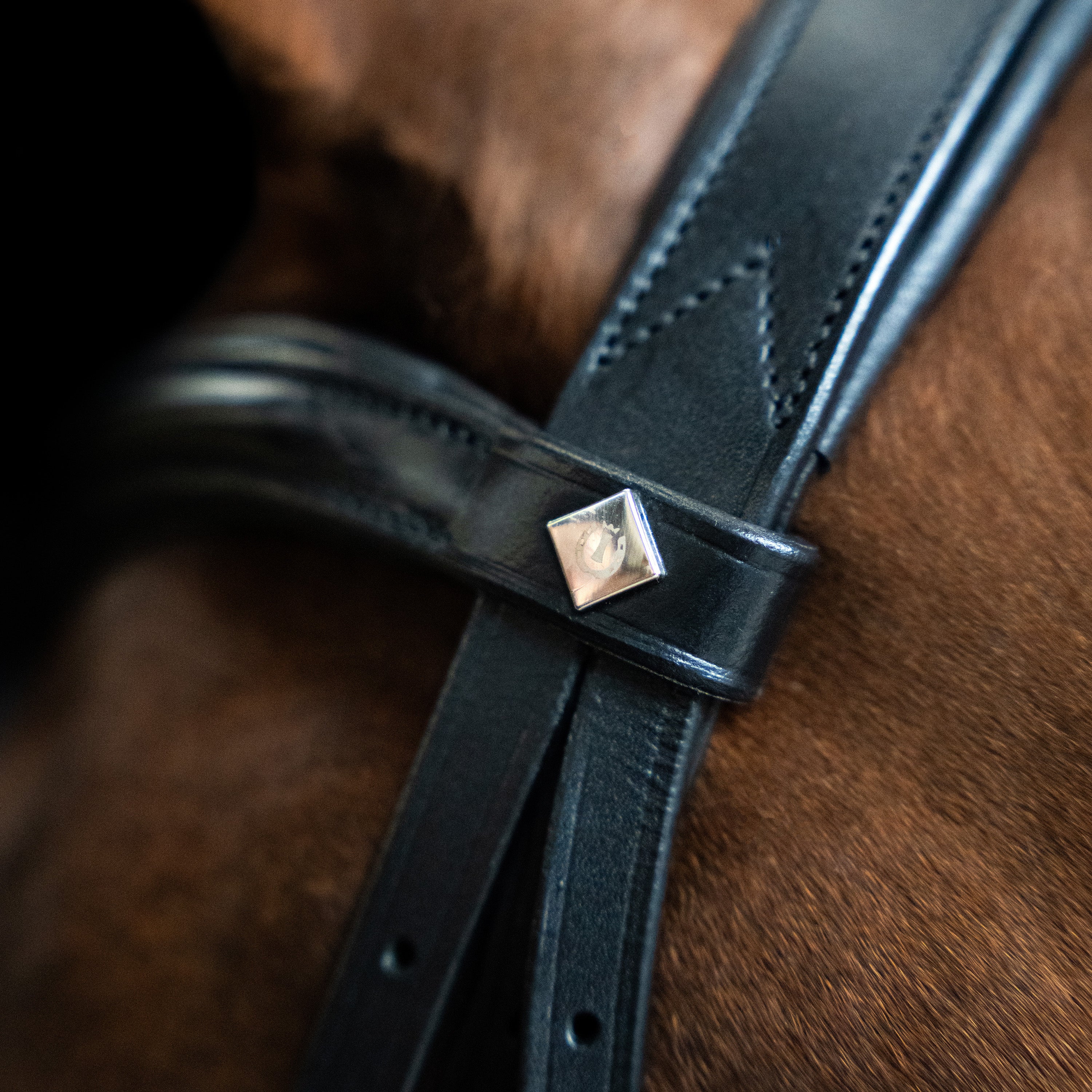 Bridle English IRH combined sleek