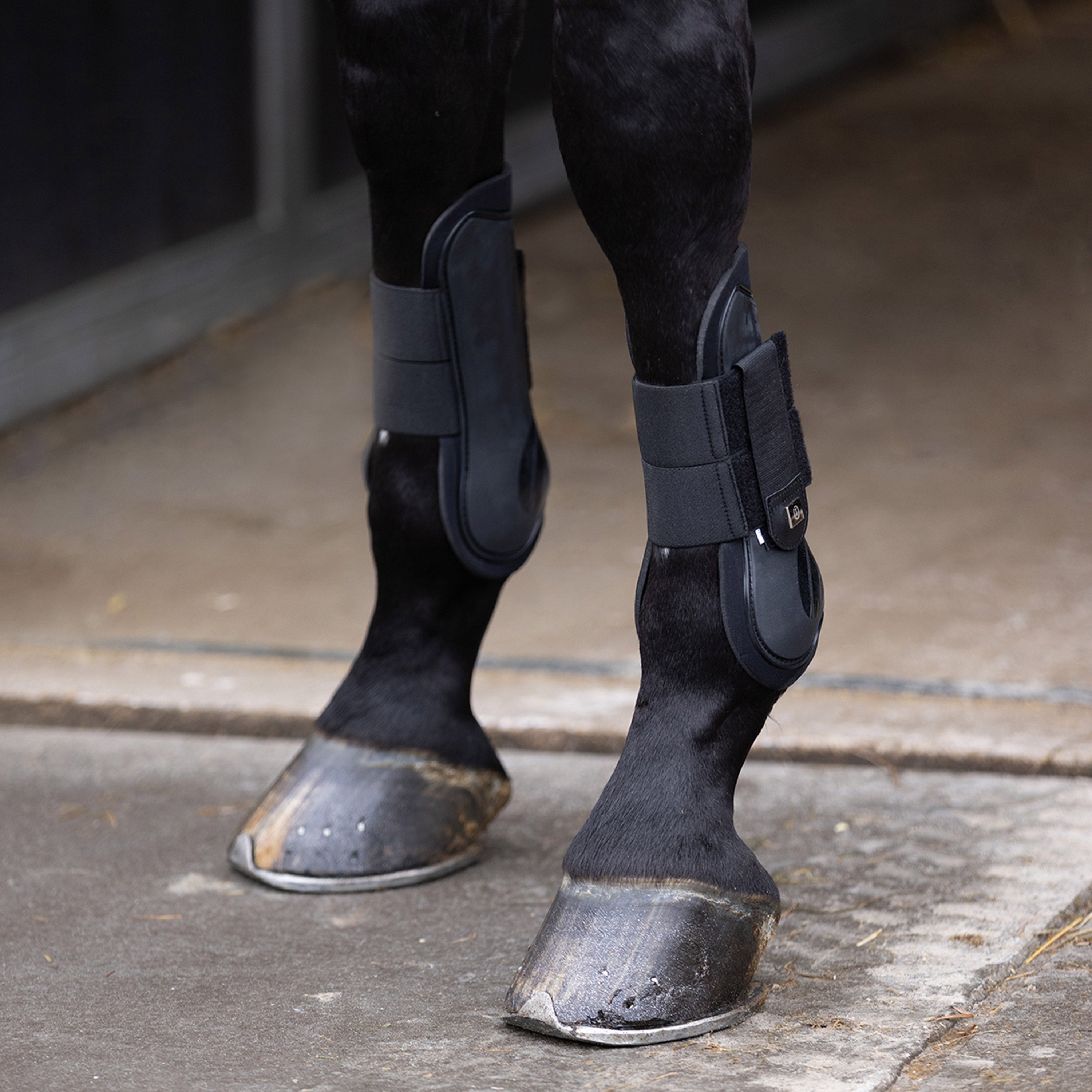 Tendon boots IRHLovely