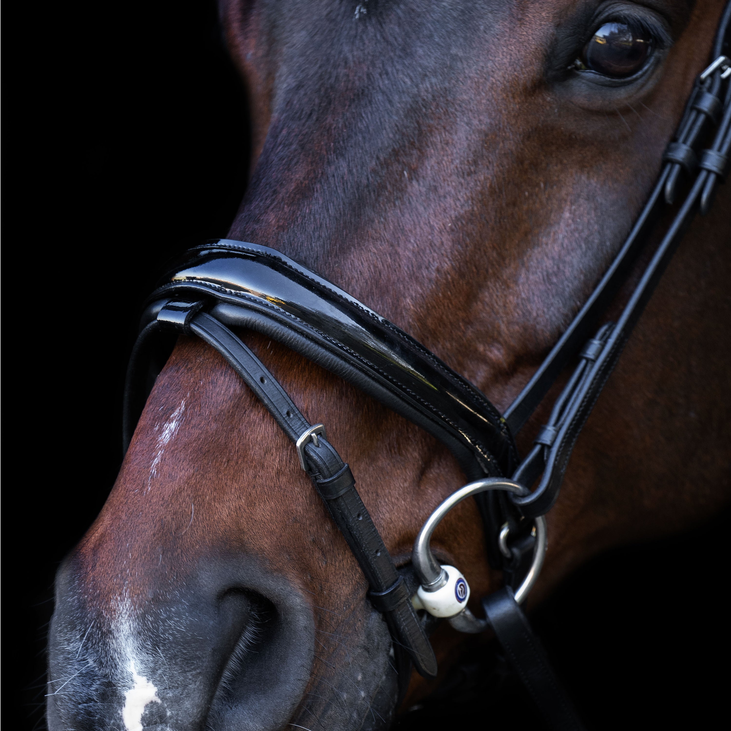 Snaffle bridle with English noseband IRH