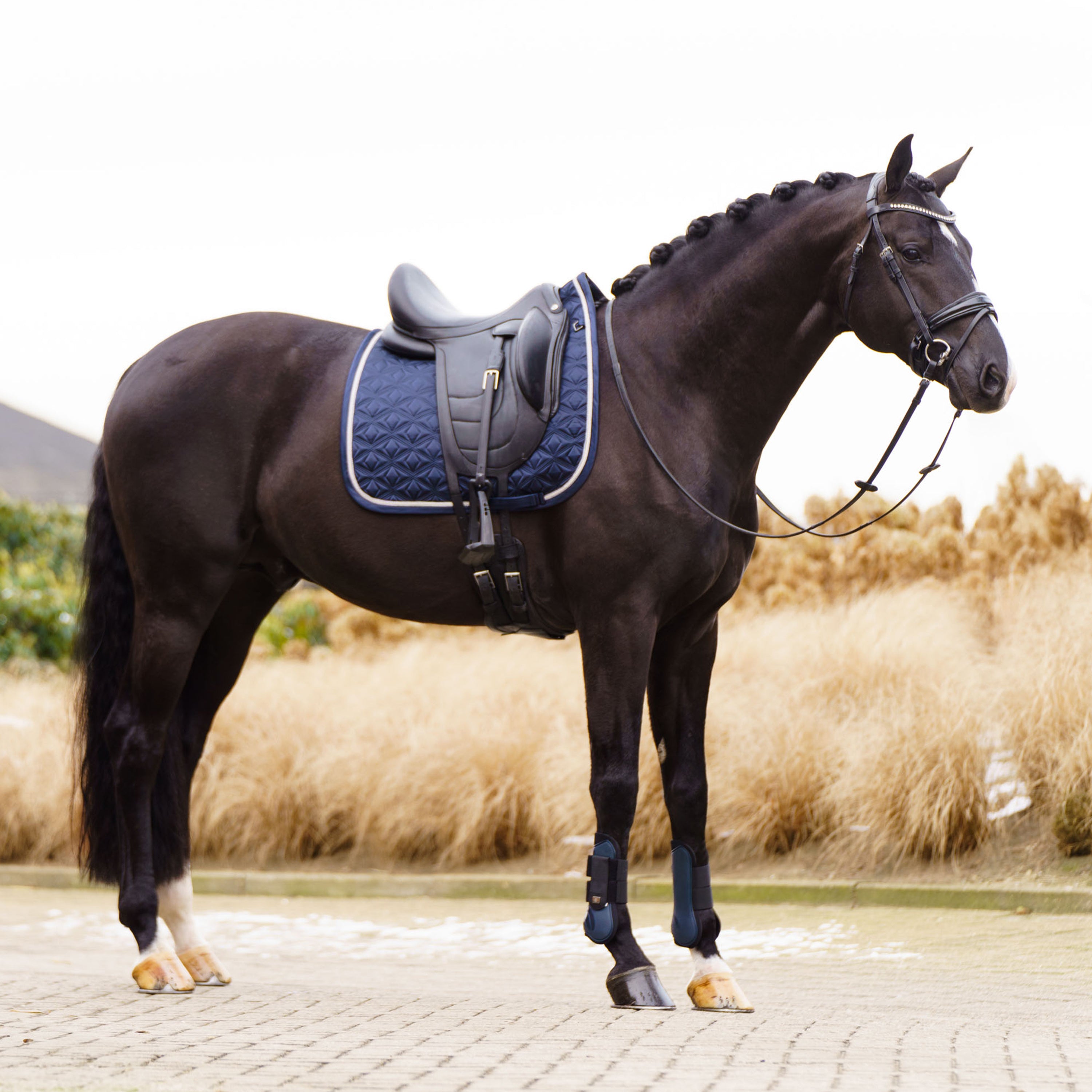 Saddlepad IRHLenny DR