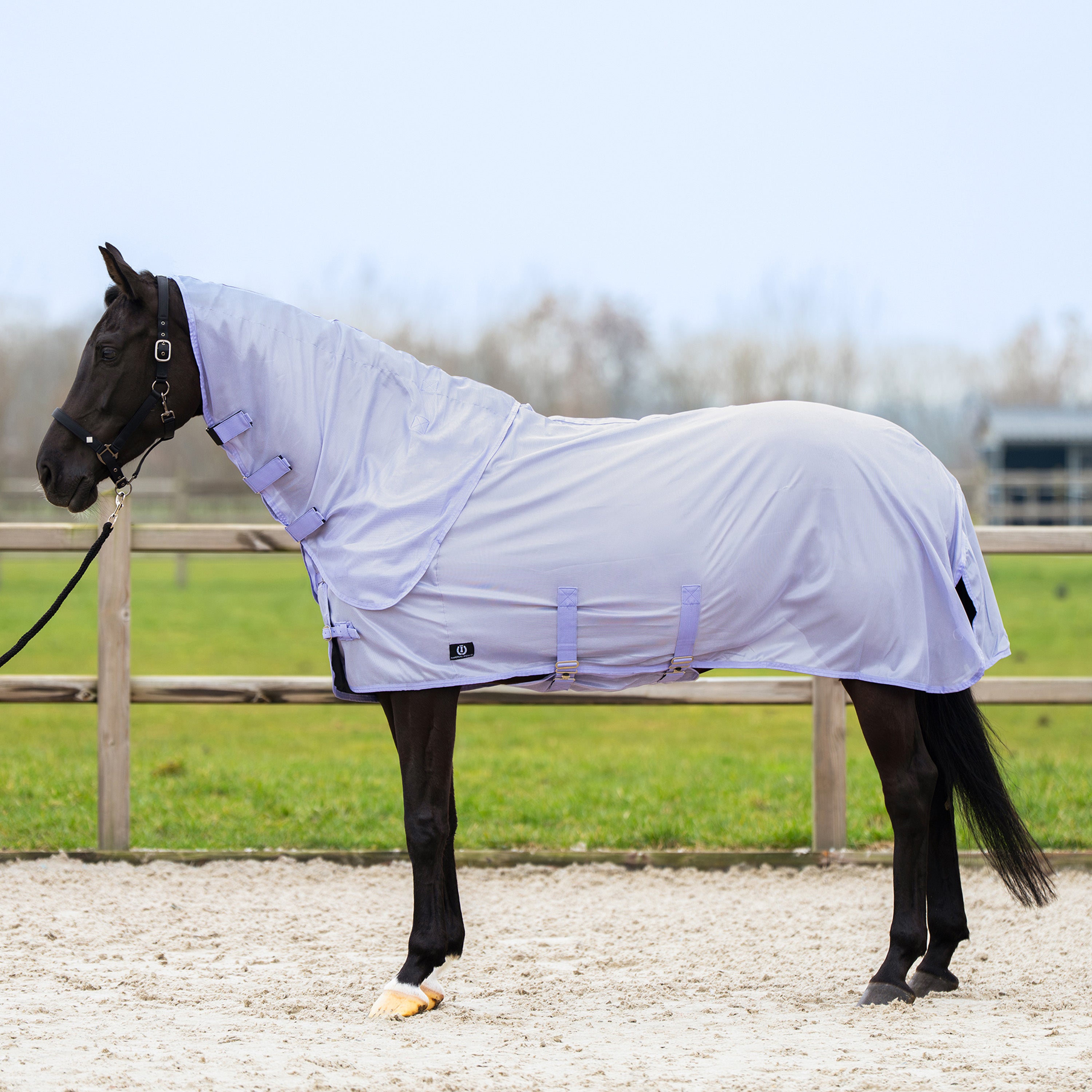 Fly blanket IRHReese