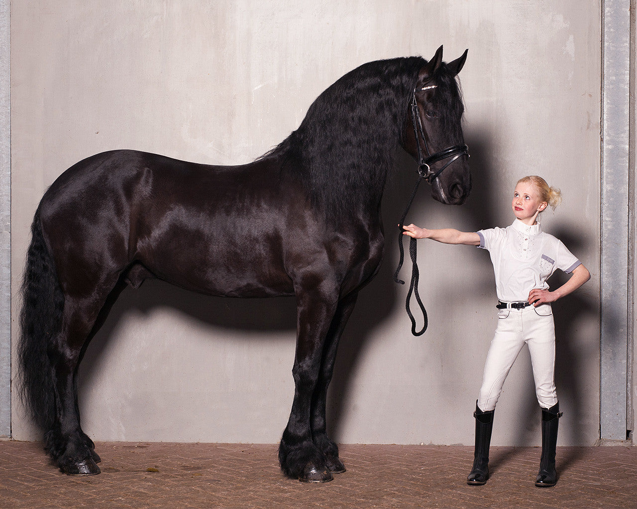 breeches junior pearl