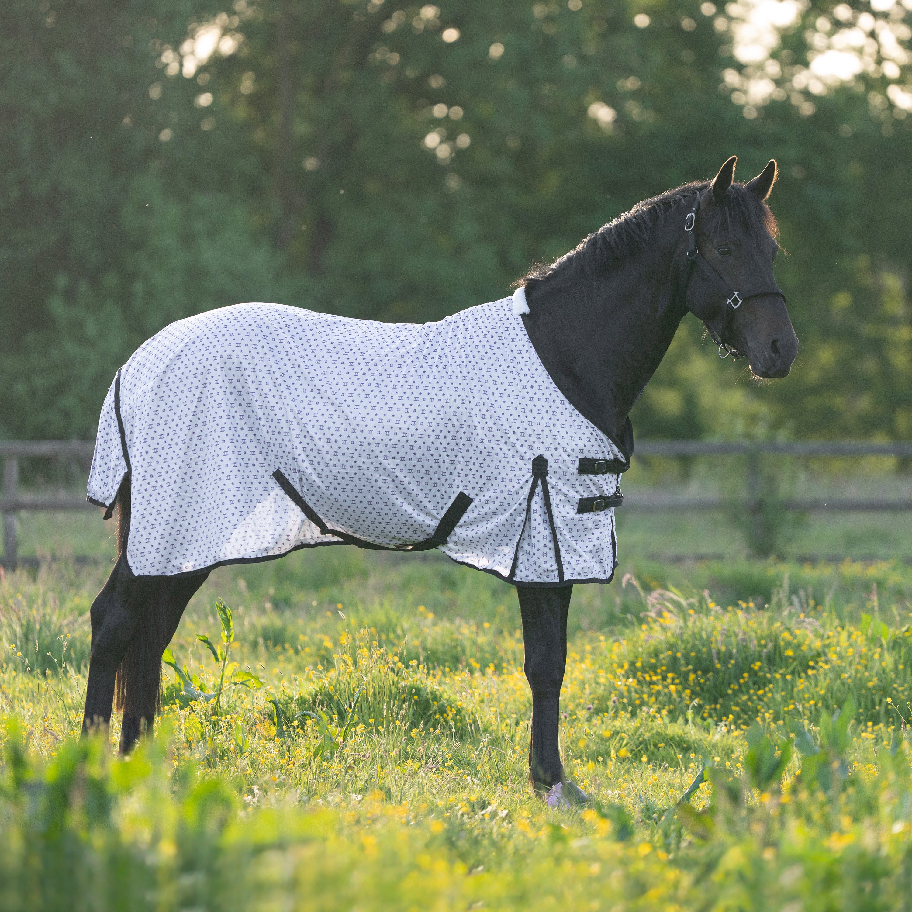 Fly blanket IRHCarlys