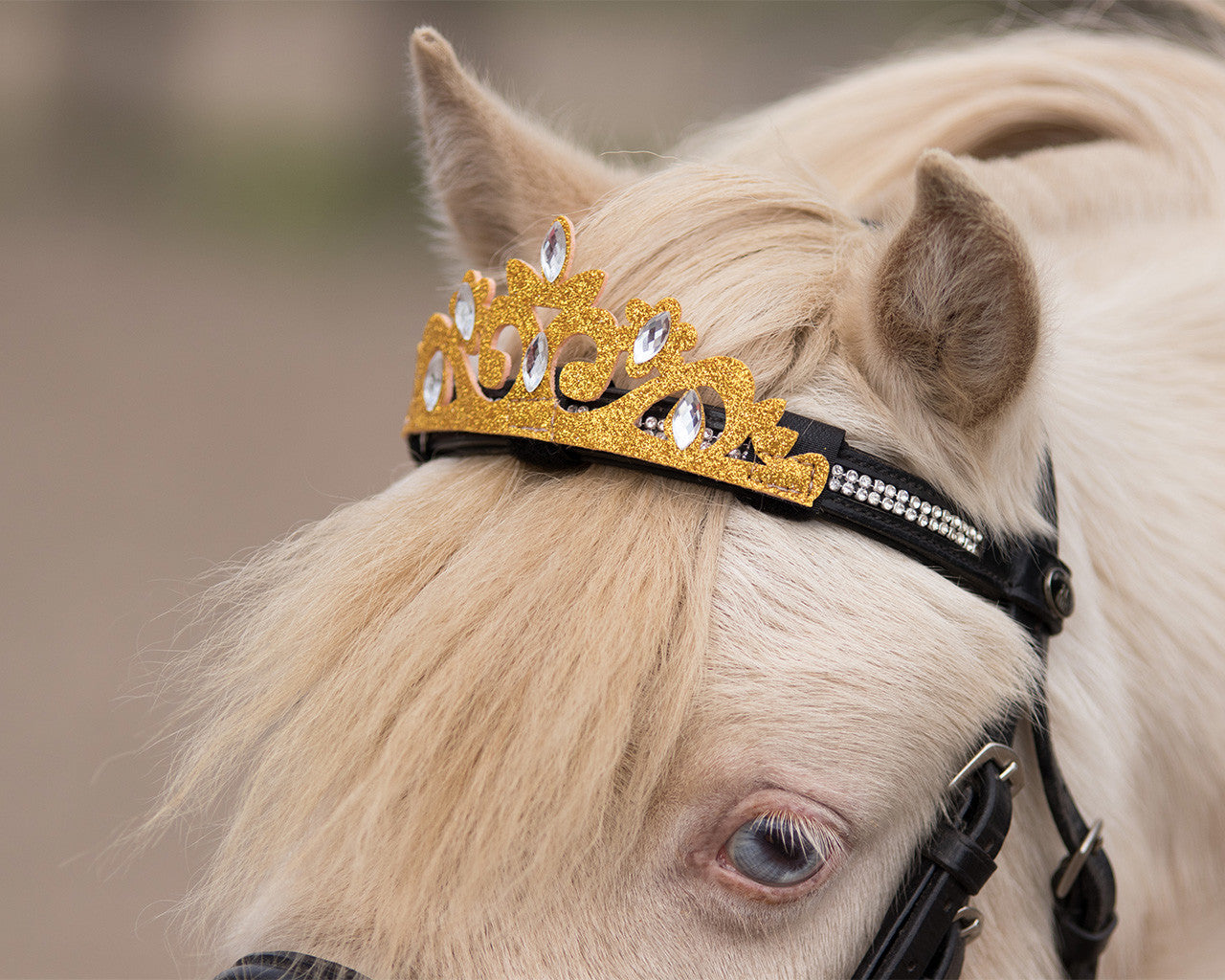 crown horse