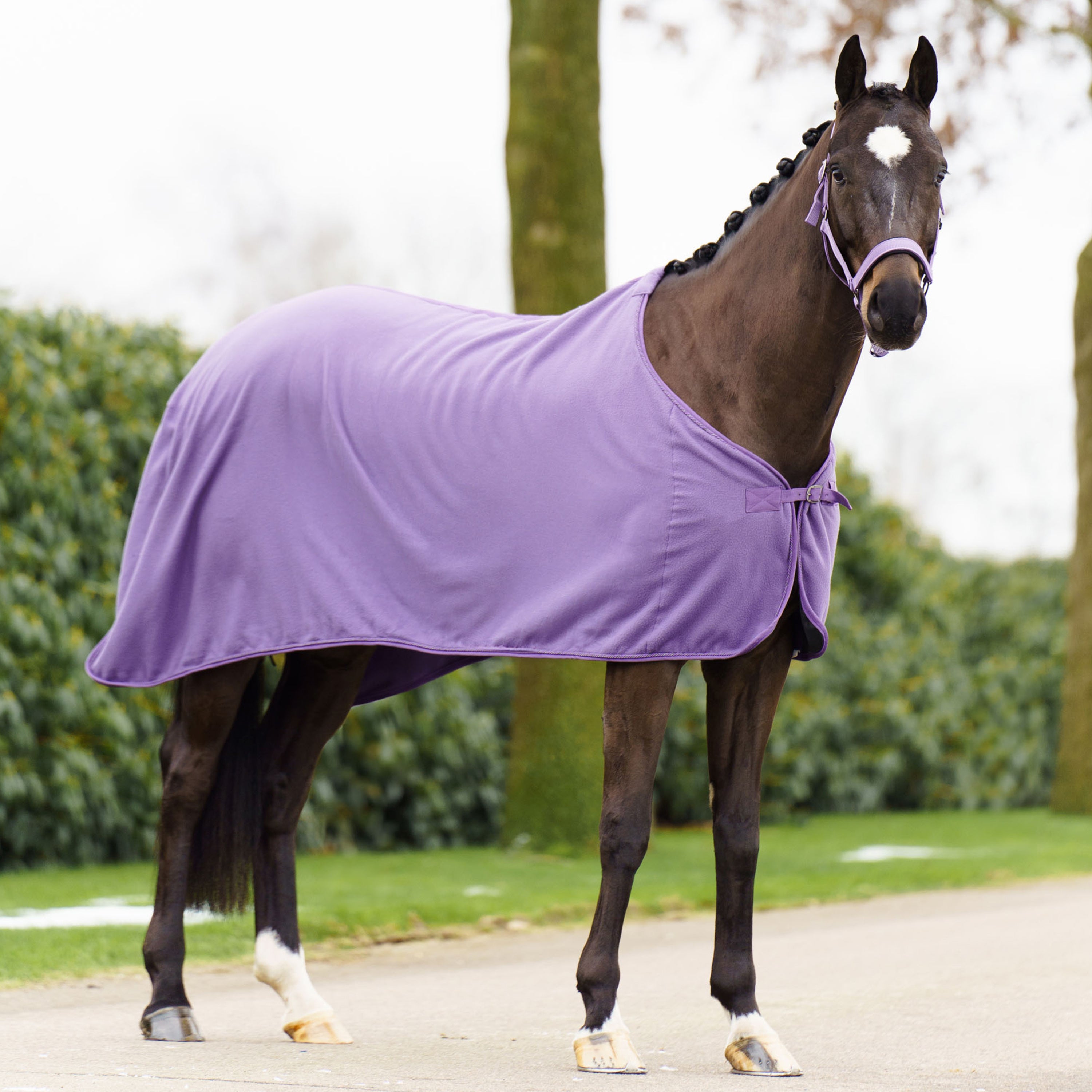 Fleece blanket IRHClassic