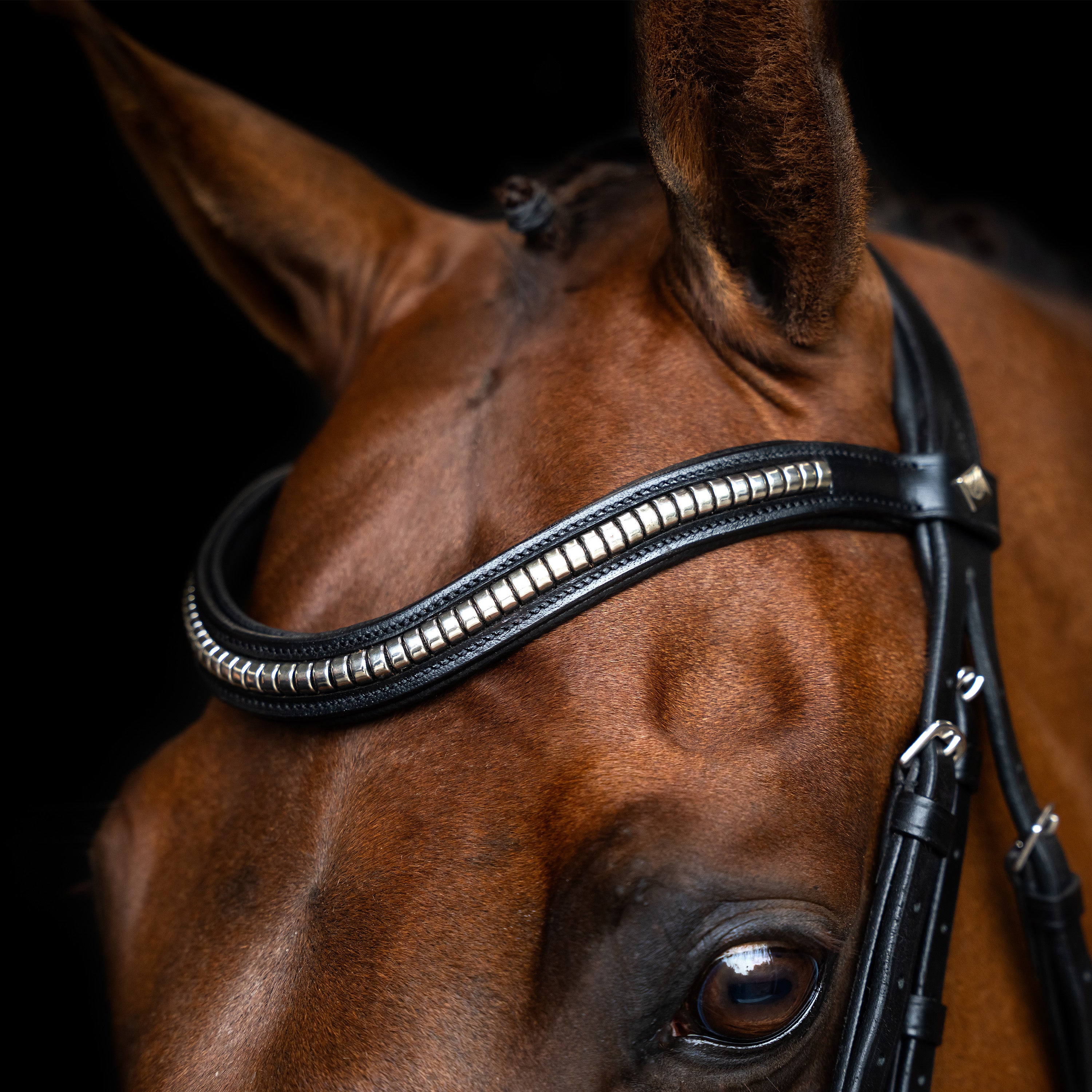 Bridle Mexican IRH