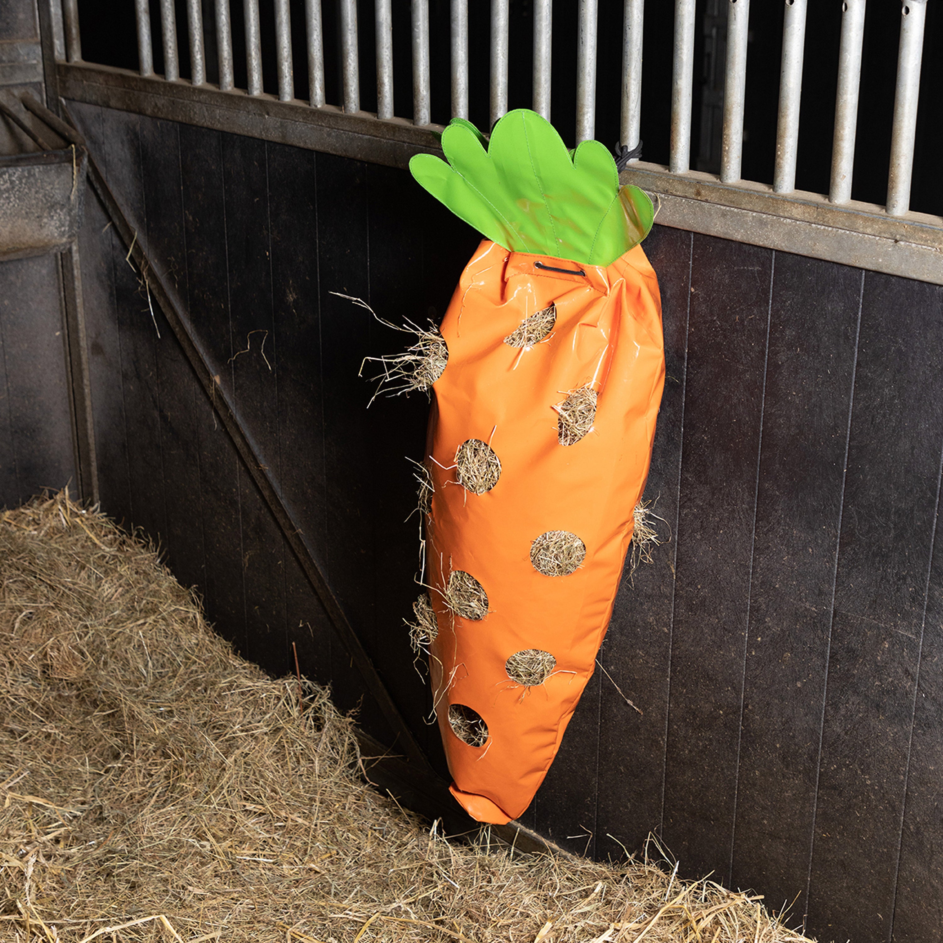 Hay bag IRHCarrot