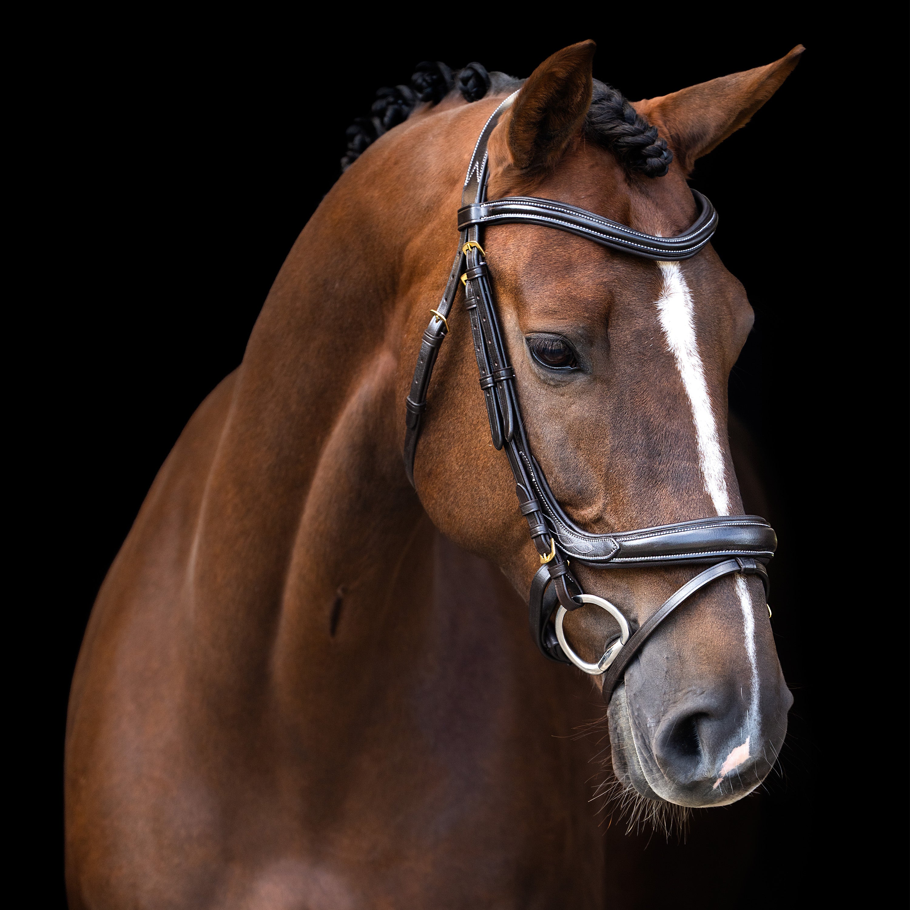 Bridle IRH with curved cut English noseband