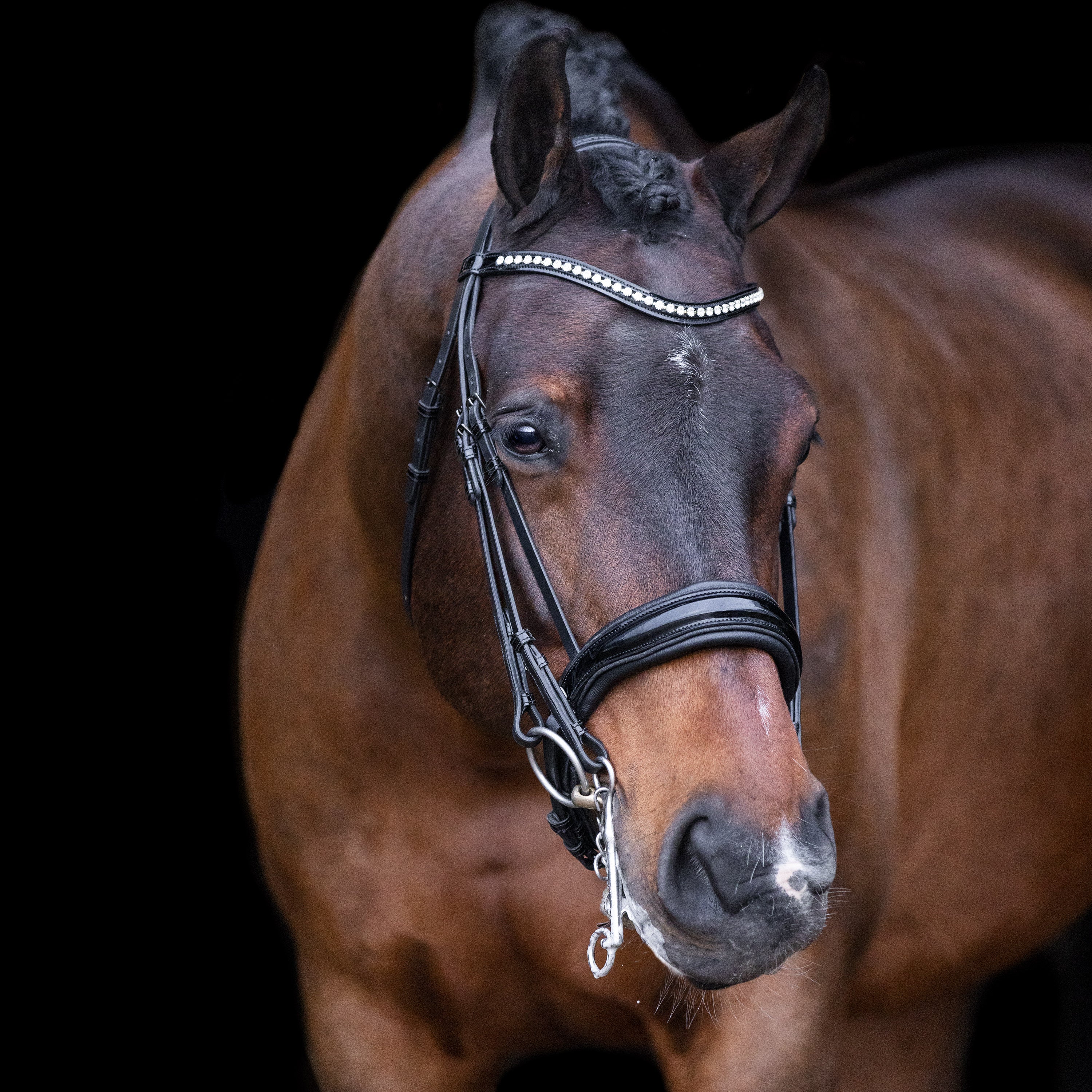 Weymouth bridle IRHAthena