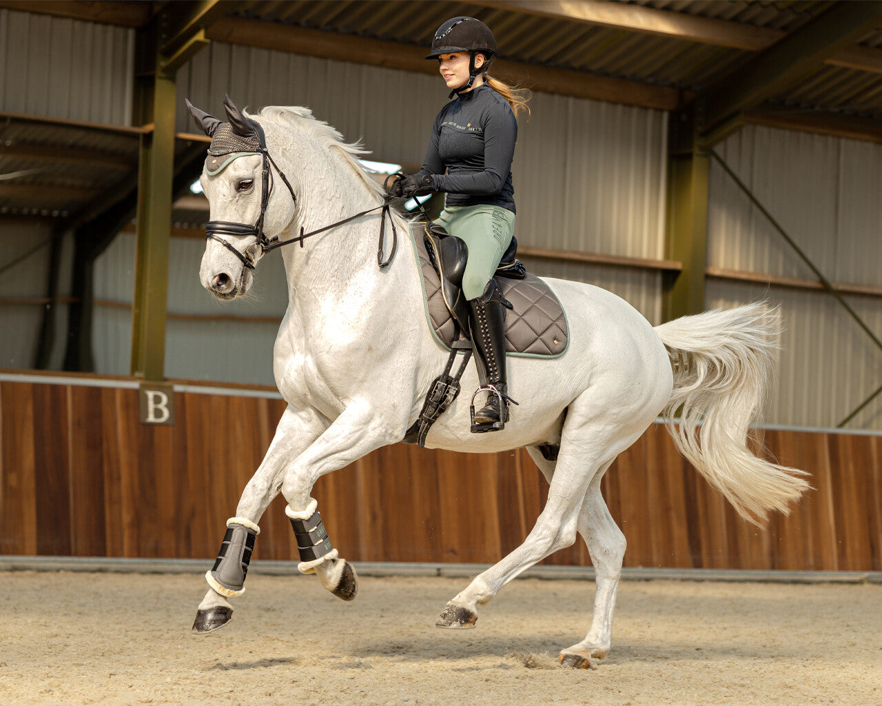 riding tights equestrian dream full grip