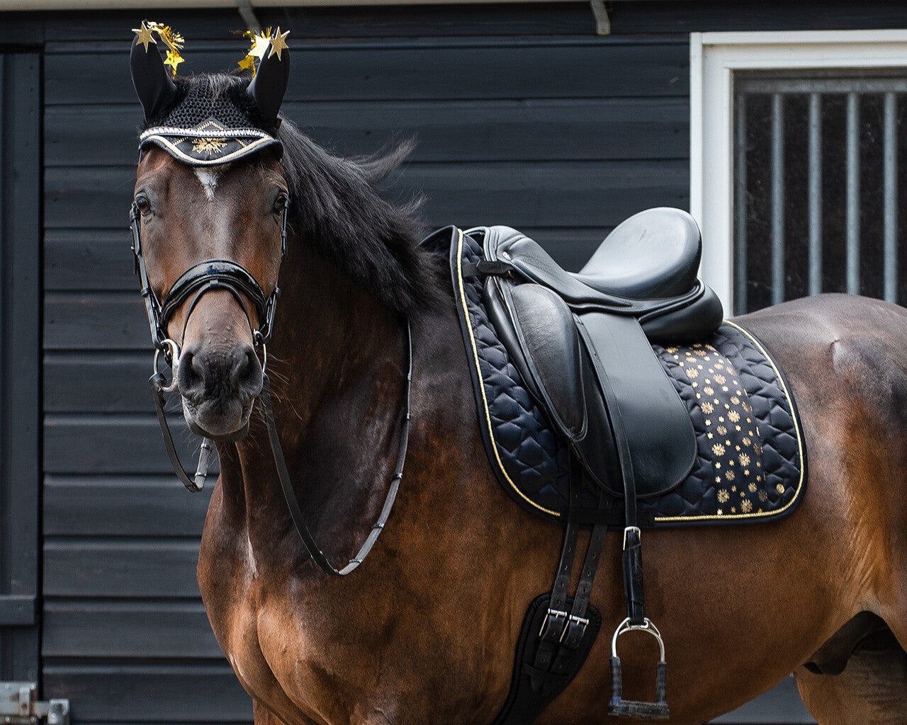 crown piece accessory celebrate