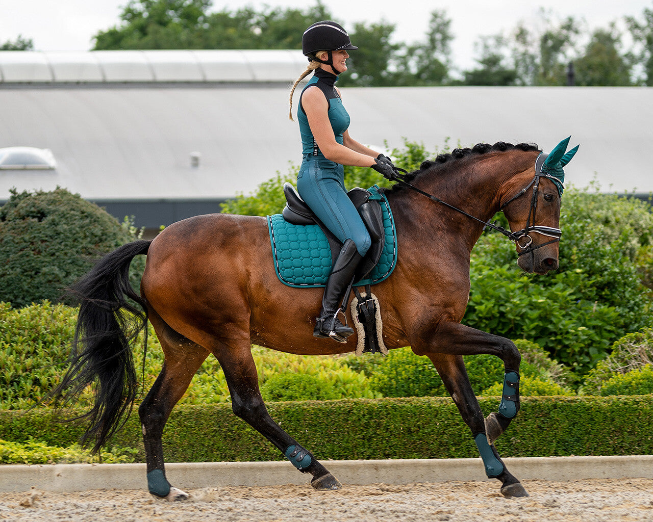 riding tights fardau full grip