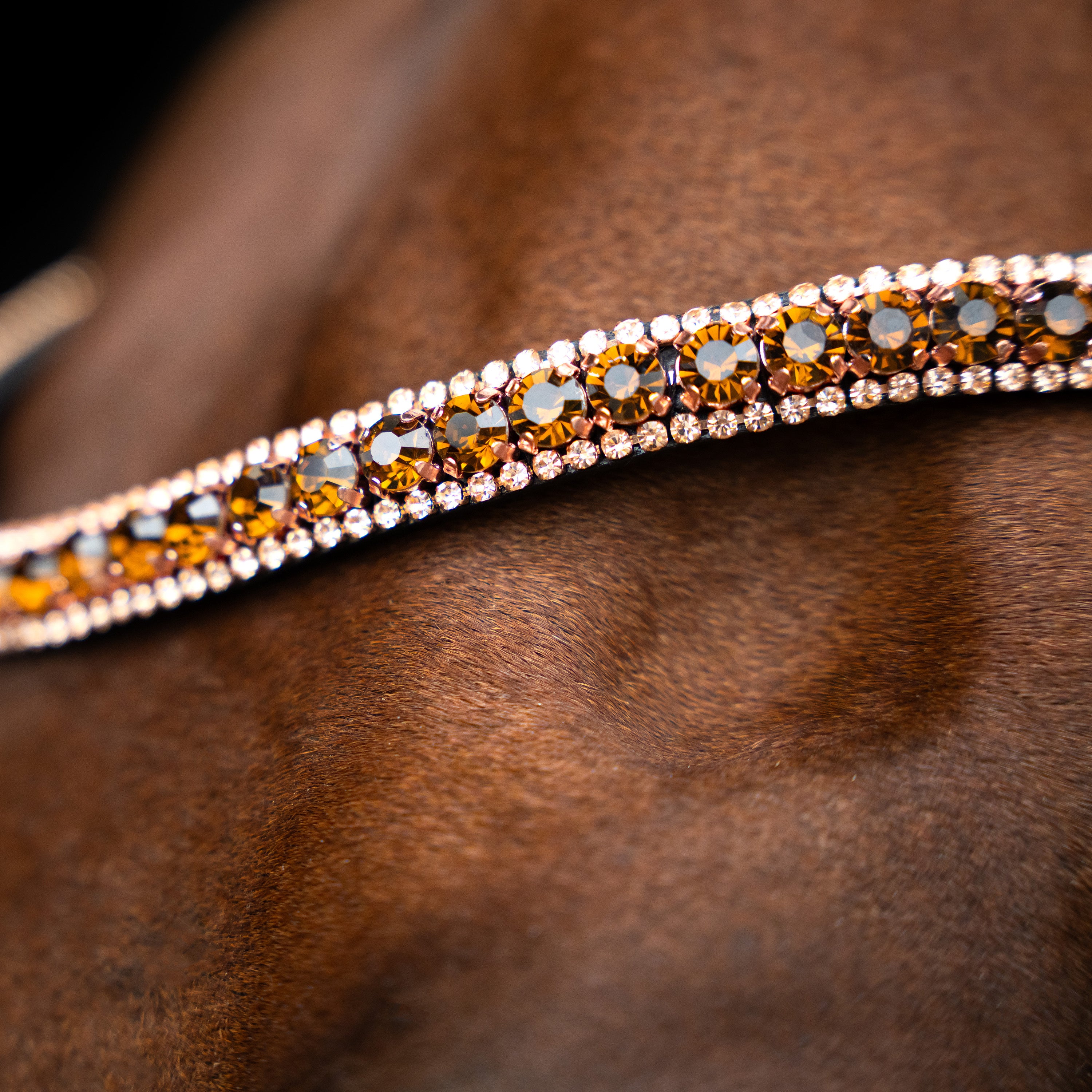 Browband IRHGrande