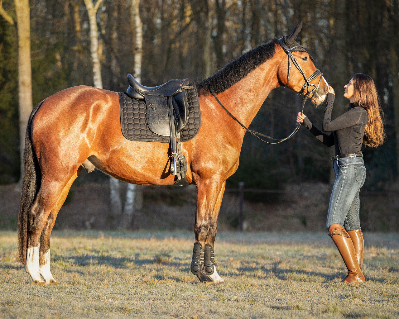 breeches hailyn full grip