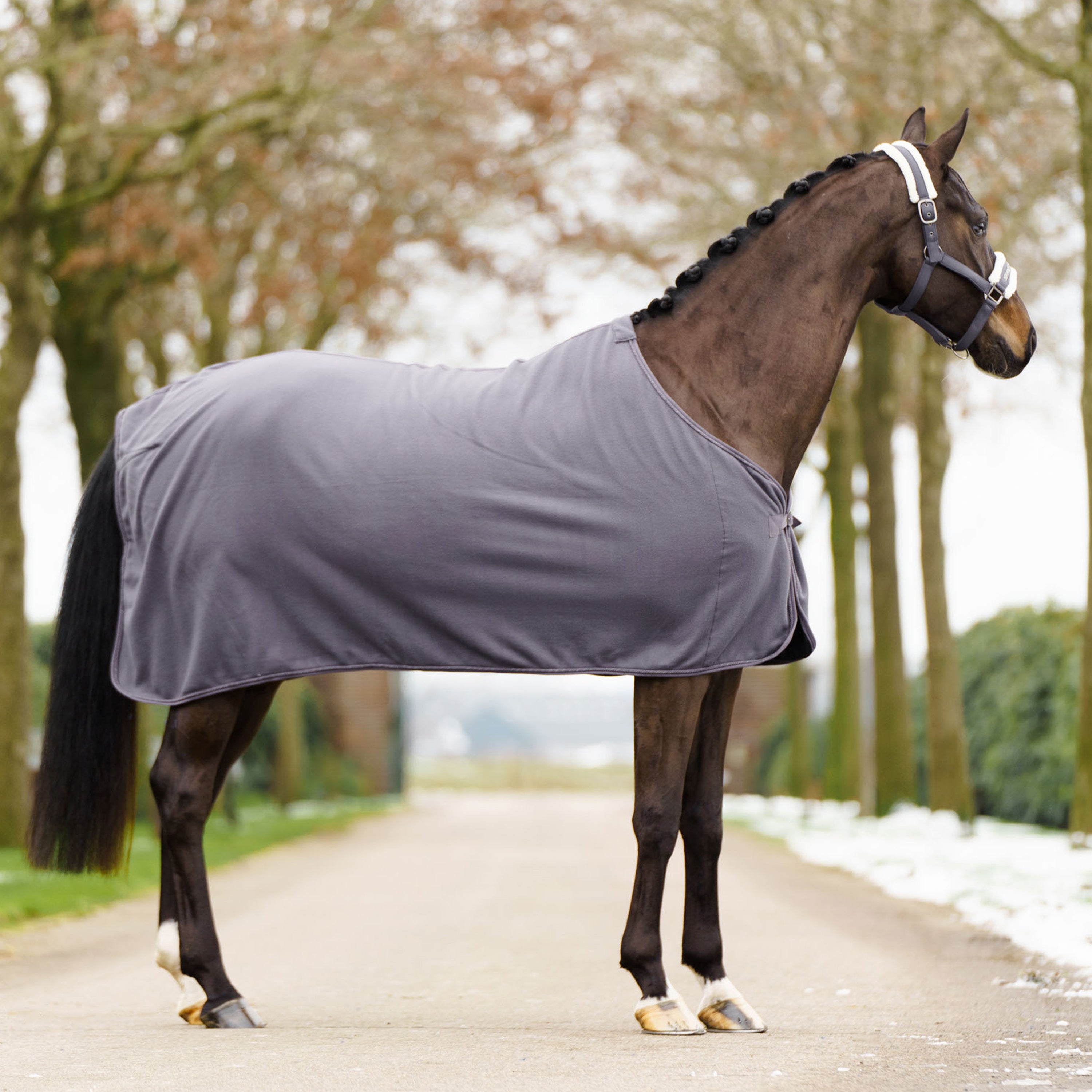 Fleece blanket IRHClassic