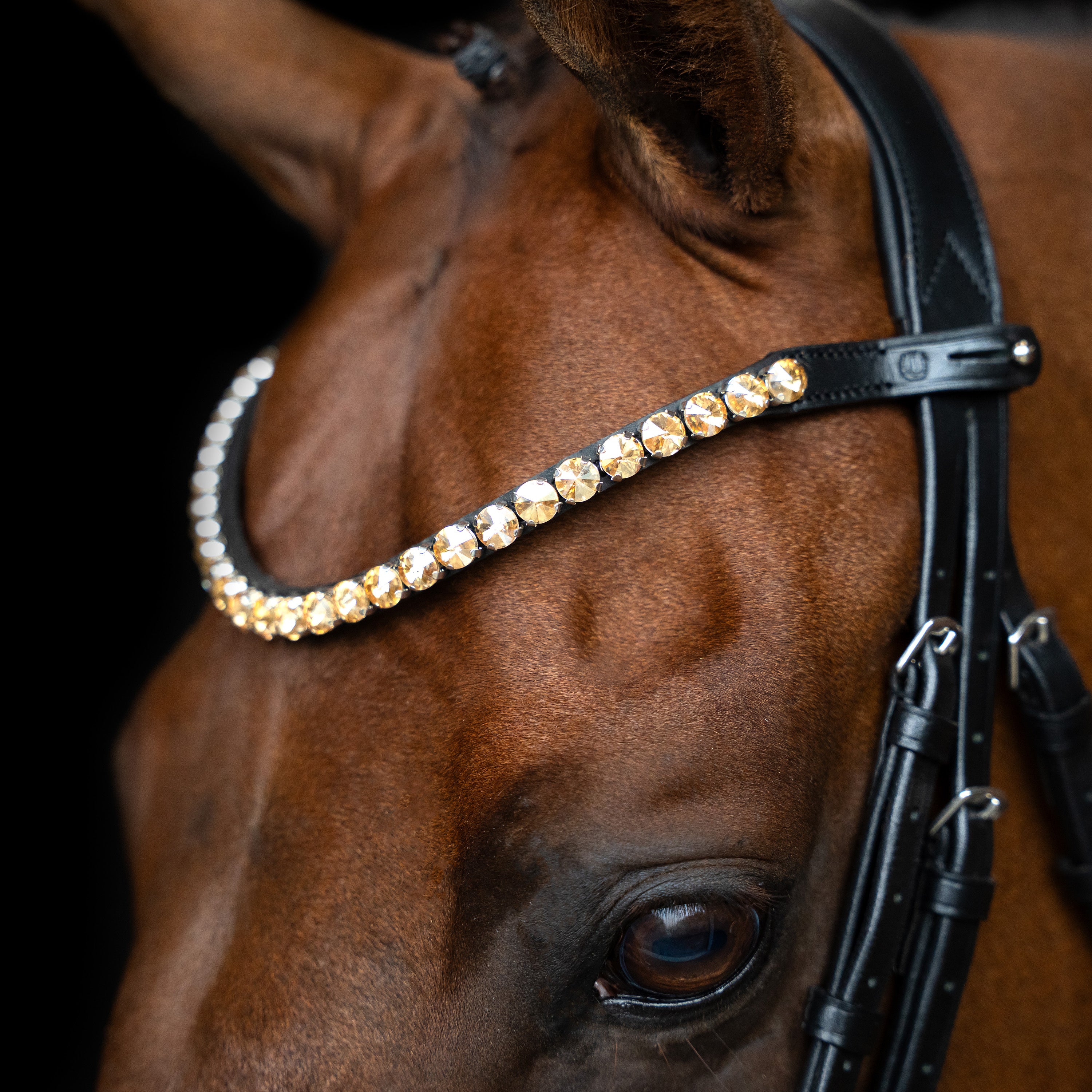 Browband IRHGrande