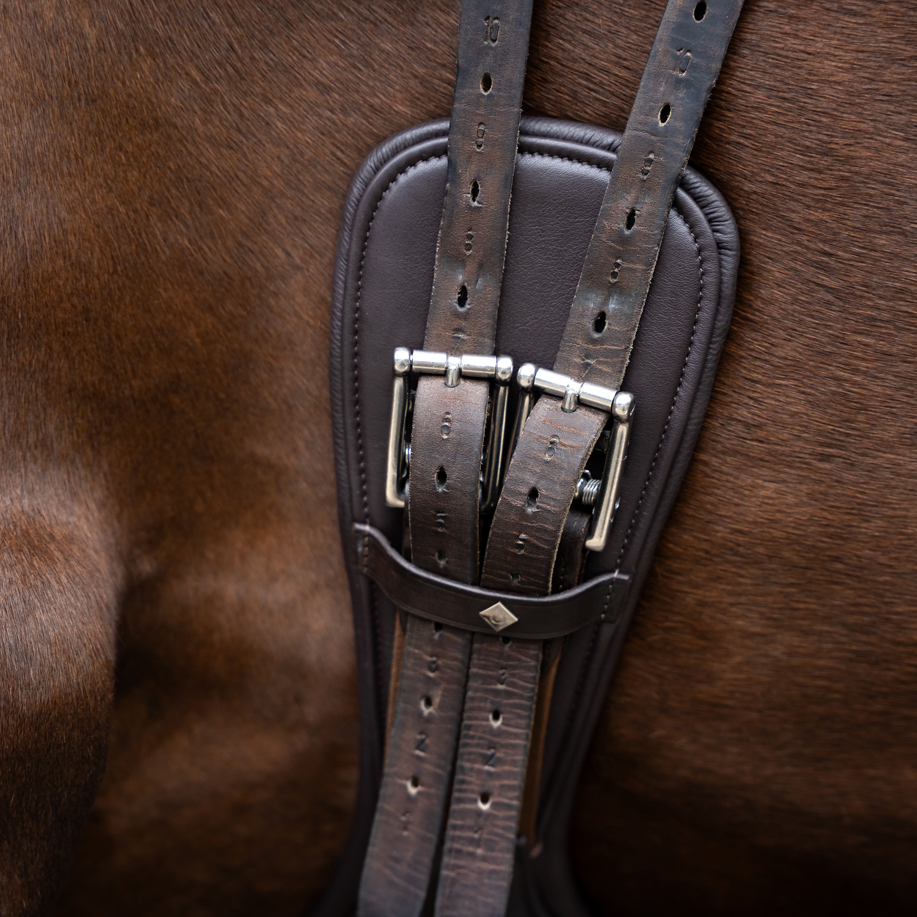 Dressage girth IRH anatomic with spring buckles